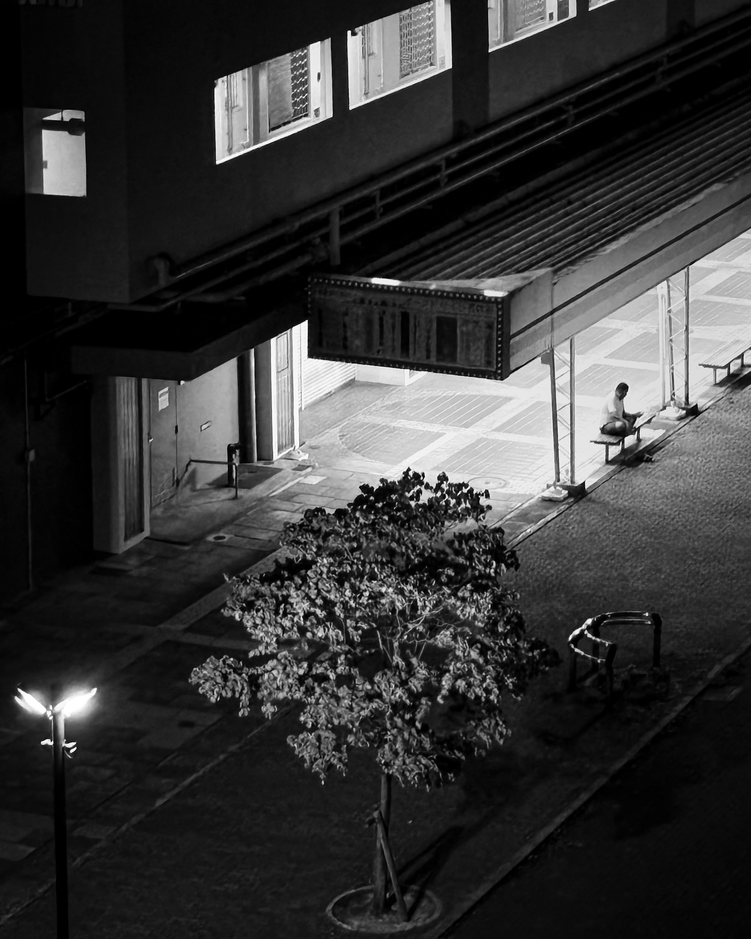夜の街角にある木とベンチが見えるモノクロ写真