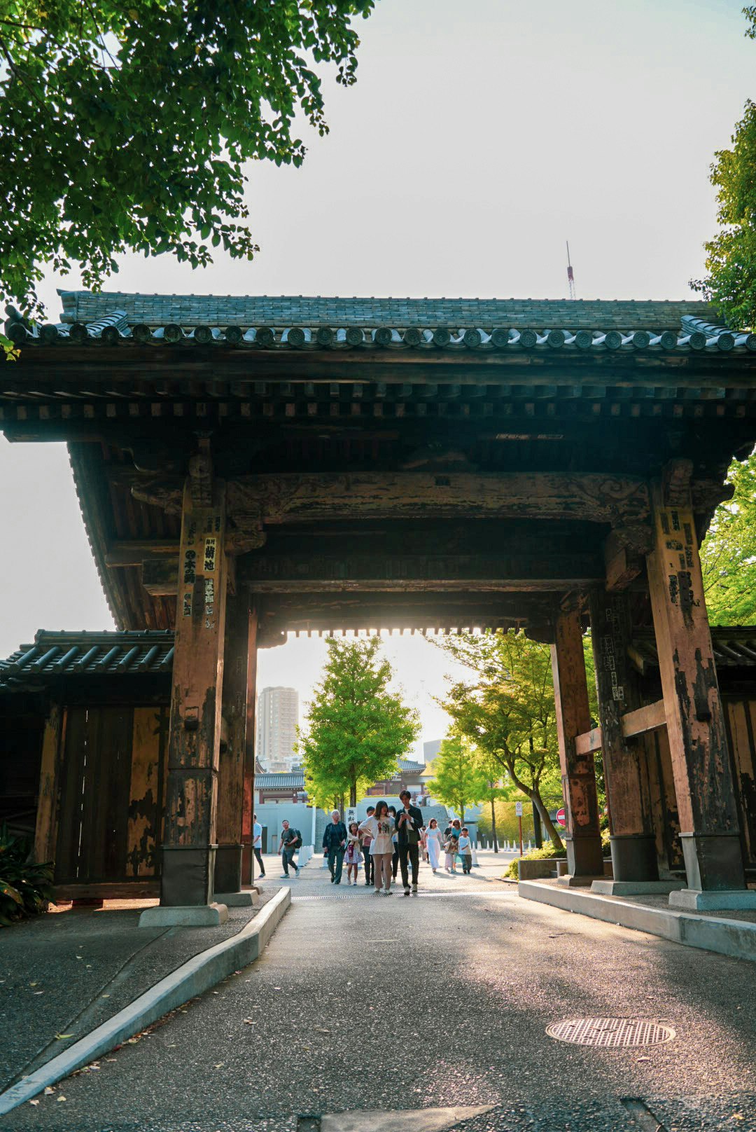 木の参道を抜ける大きな門と人の行列