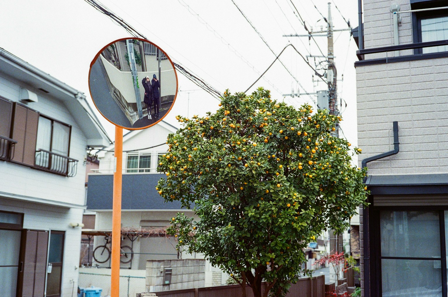 Personne réfléchie dans un miroir de rue avec un arbre orange à proximité