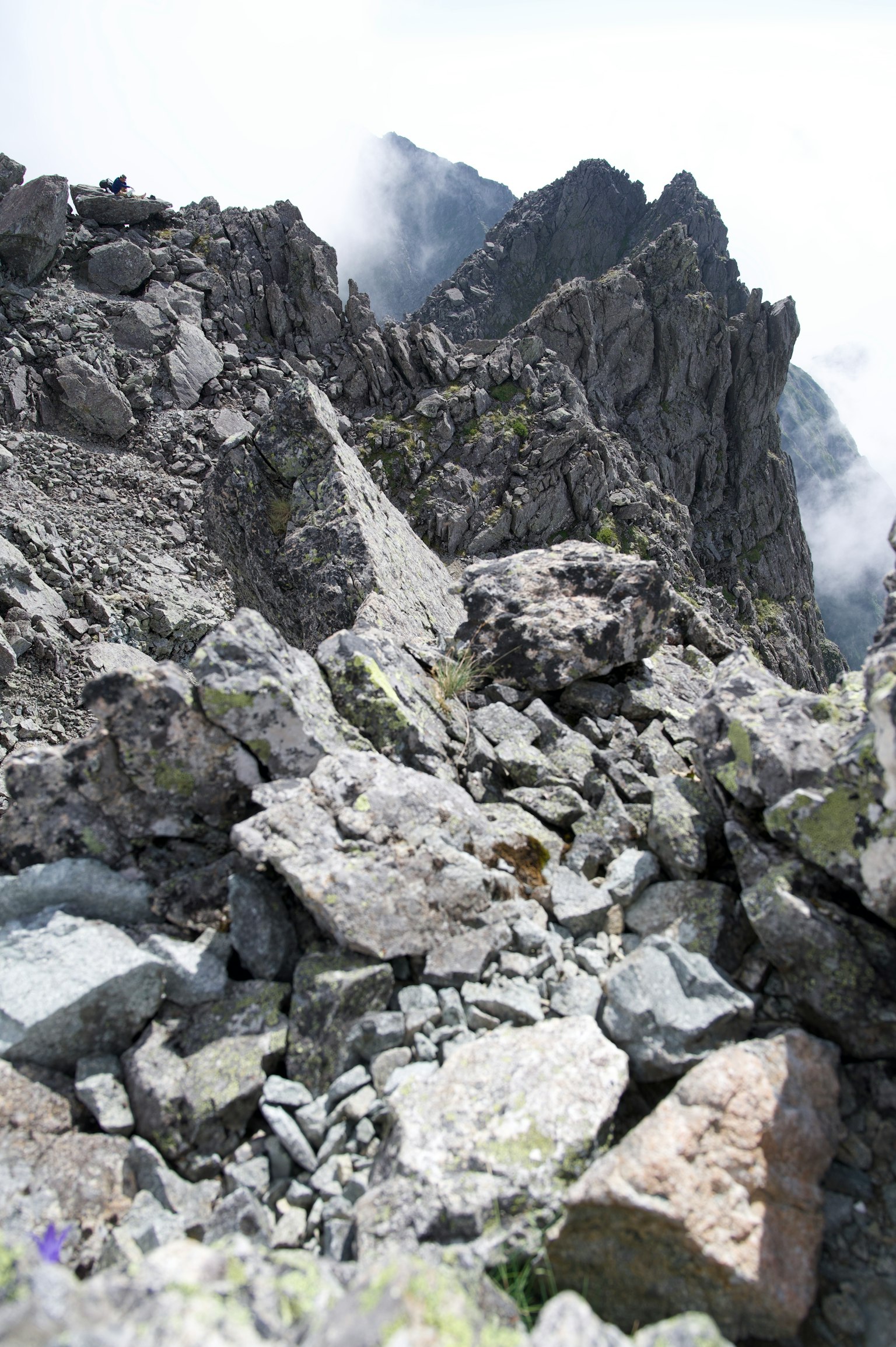 Paesaggio montano roccioso con pietre sparse e nebbia