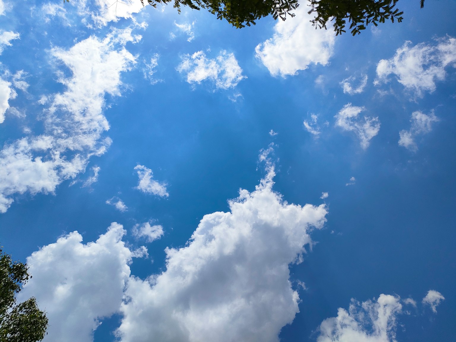 Langit biru cerah dengan awan putih berbulu