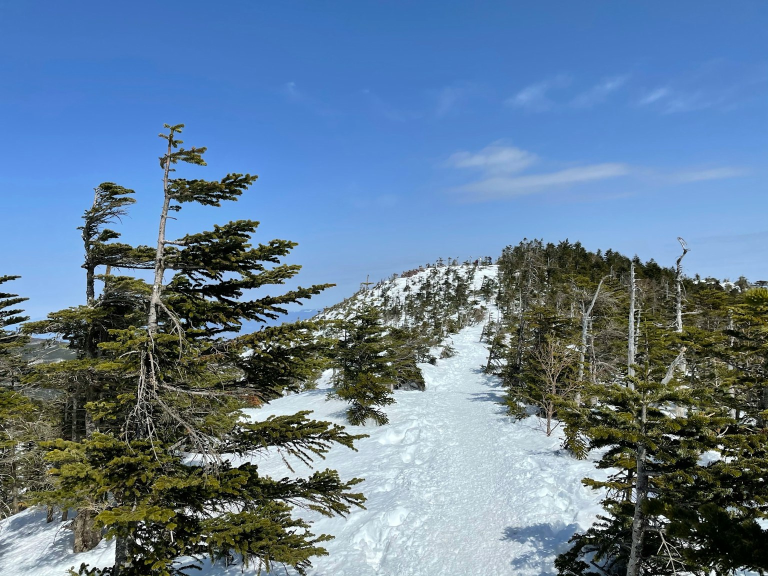 Sendero montañoso cubierto de nieve con árboles bajo un cielo azul