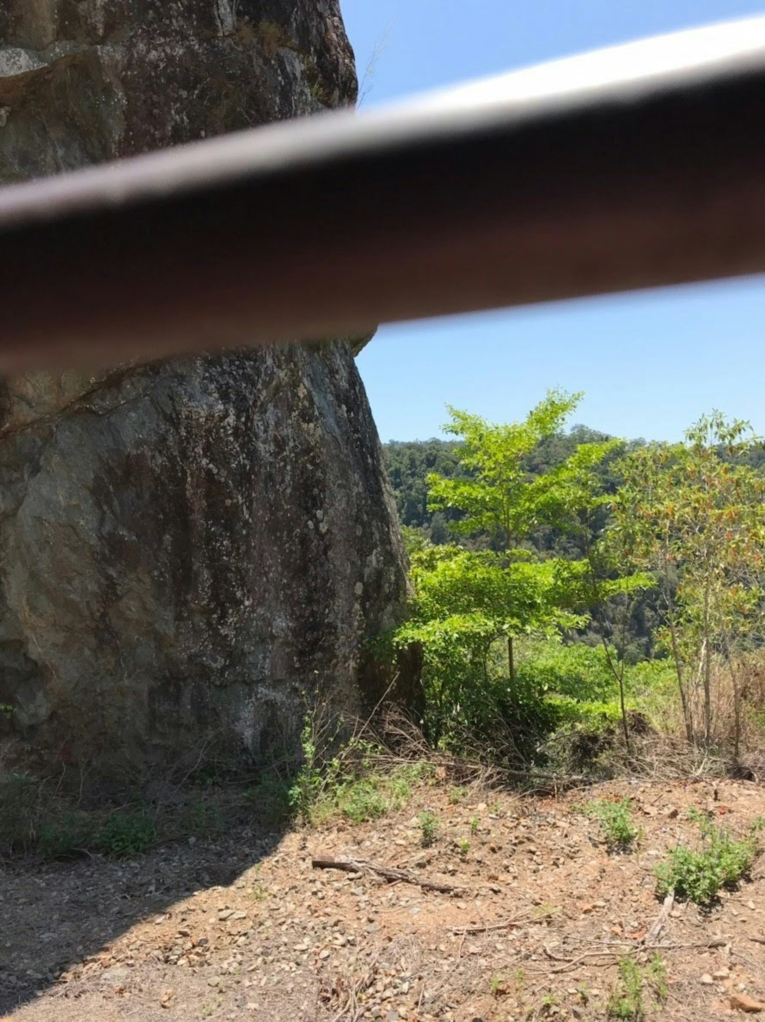 岩石旁的綠色樹木和藍天