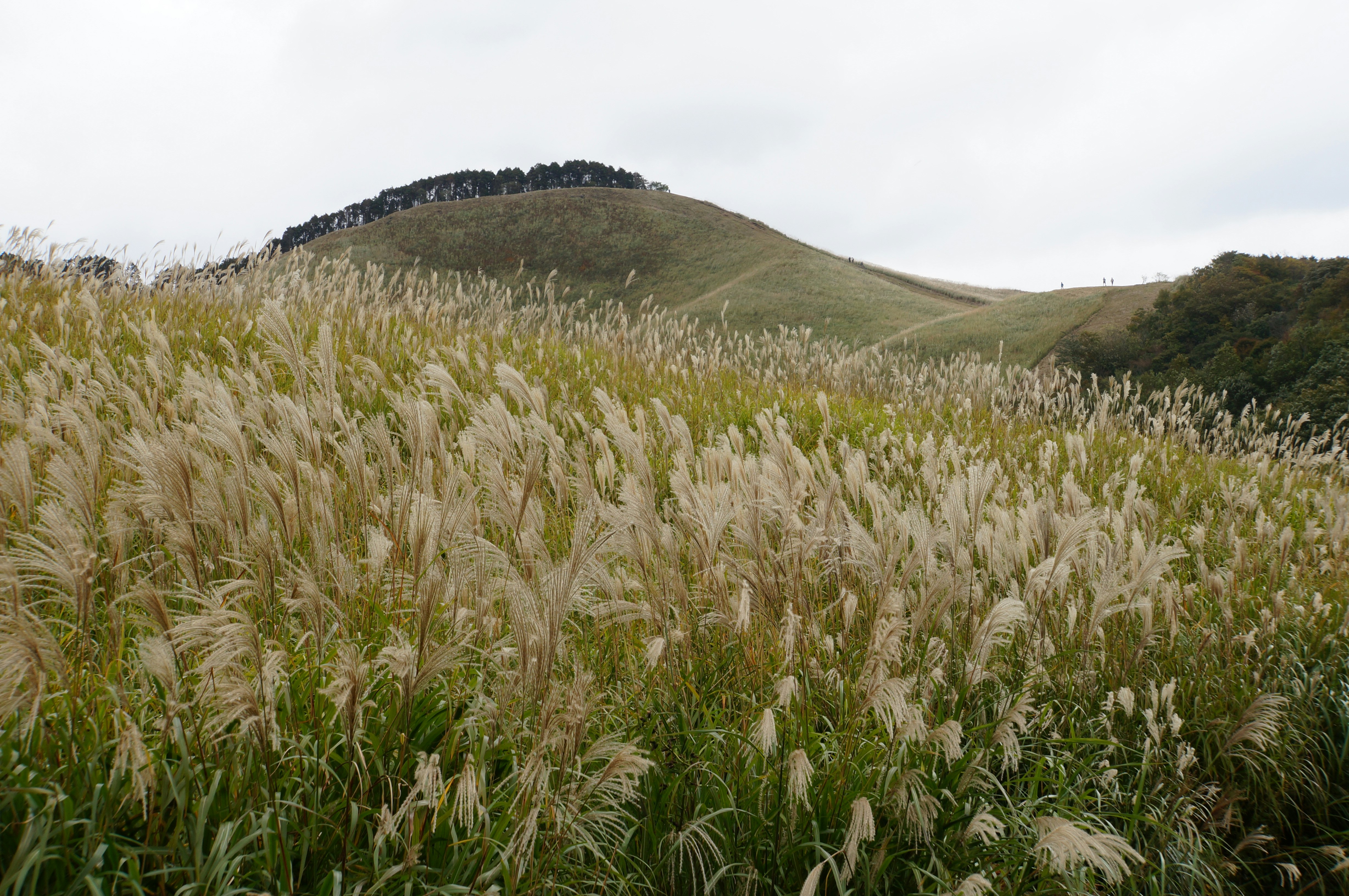 grassy hillsides landscape with rolling hills