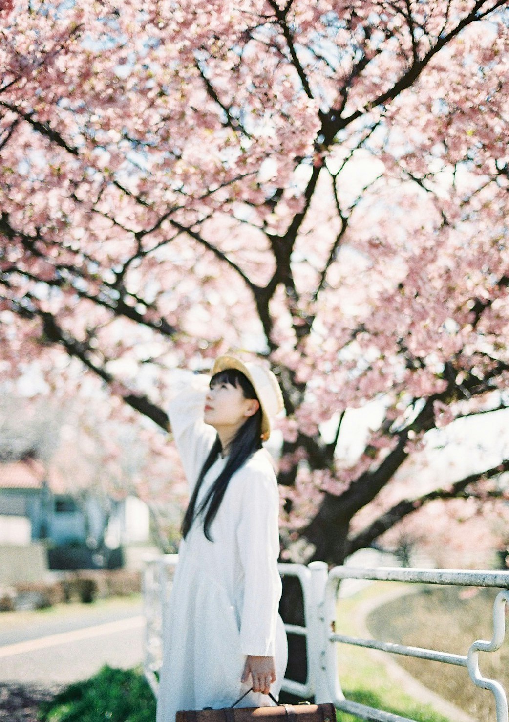 donna con cappello sotto alberi di ciliegio in fiore
