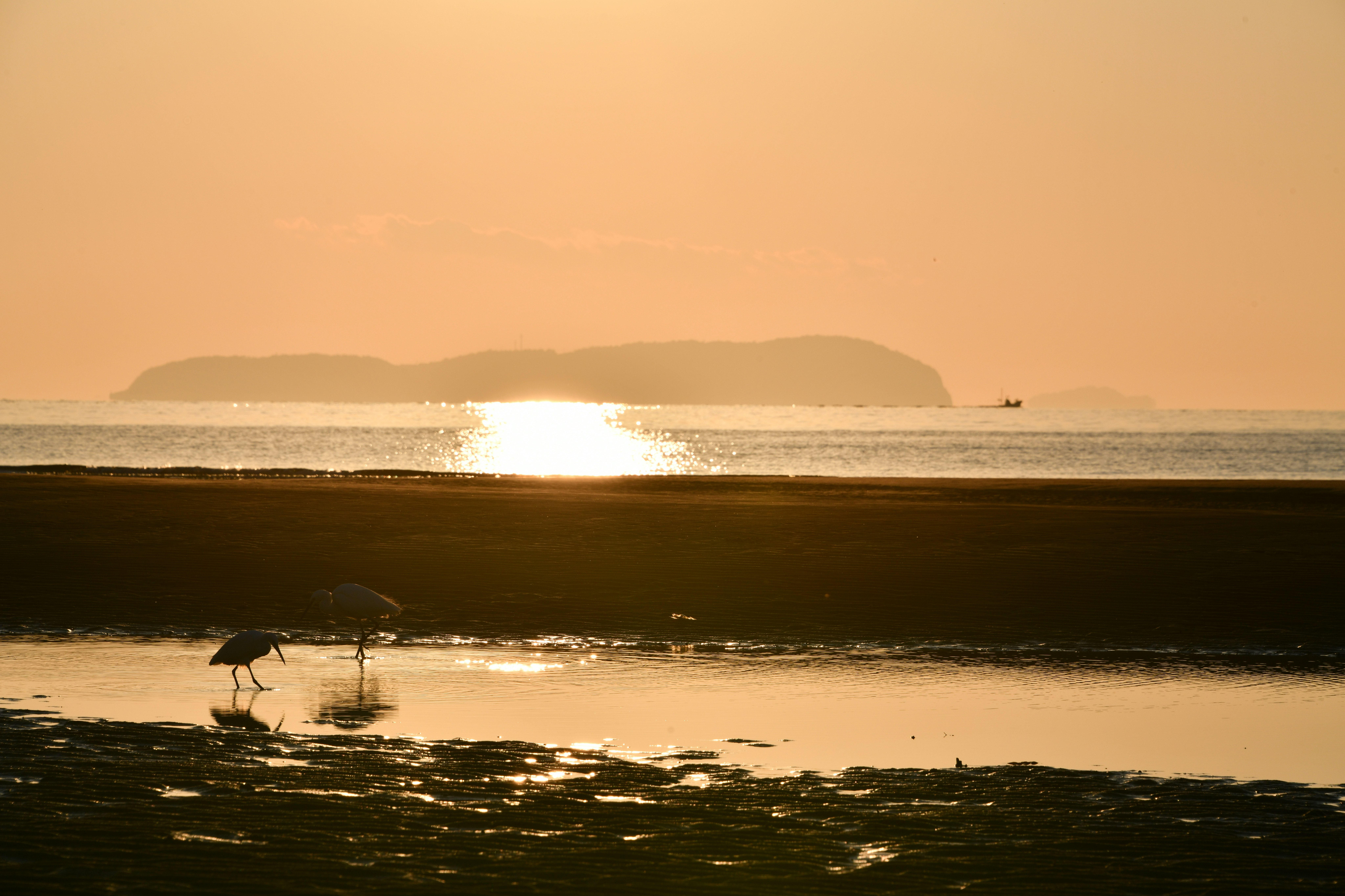 夕日に照らされた砂浜と水平線の海