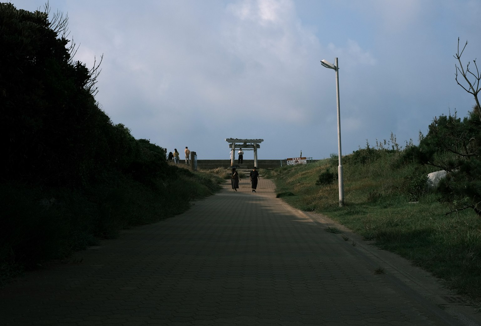 Weg zu einem Torii unter einem bewölkten Himmel und grünem Gras