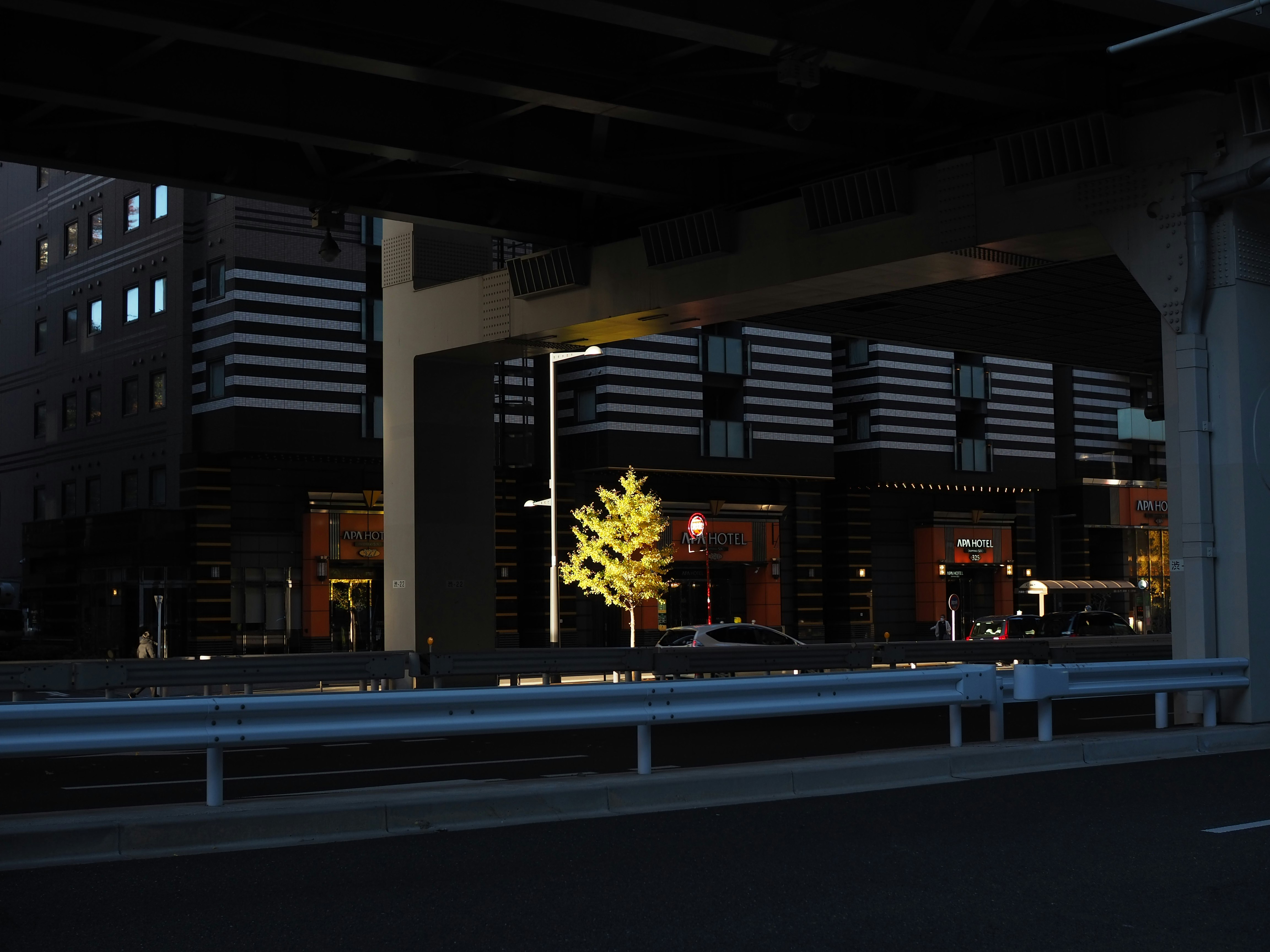 夜の高架下に灯る街の明かりと木