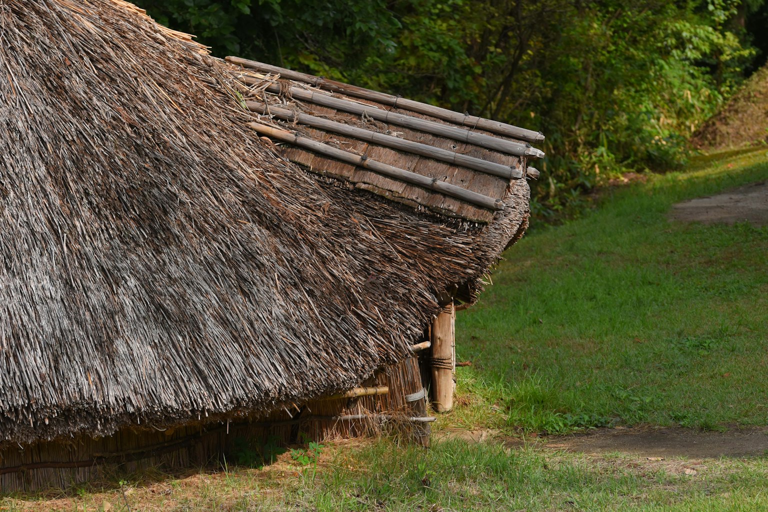 茅草屋頂小屋與綠色草地
