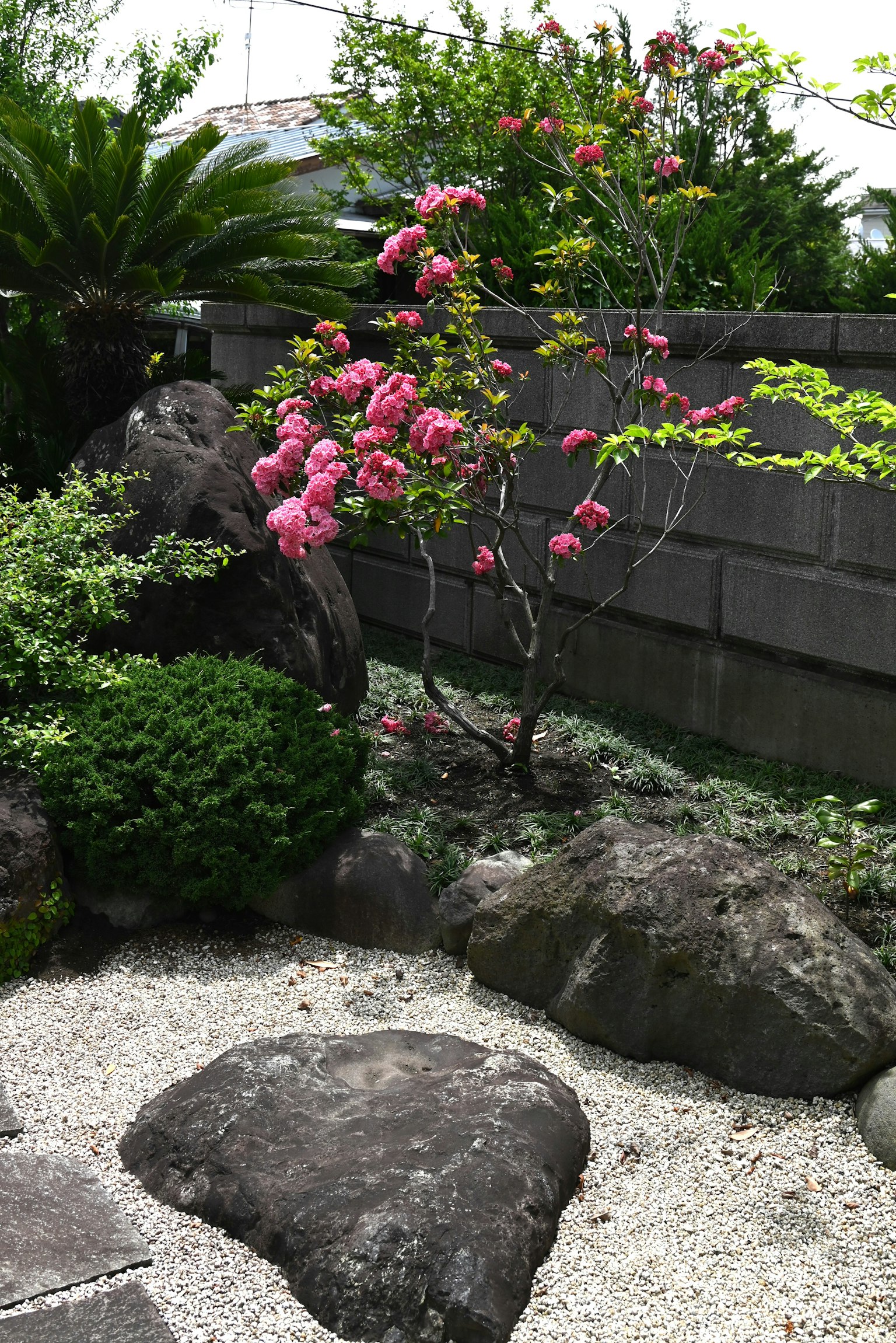 美麗的日本庭園景色 綠色植物和盛開粉紅色花朵的樹 石頭和白色沙礫