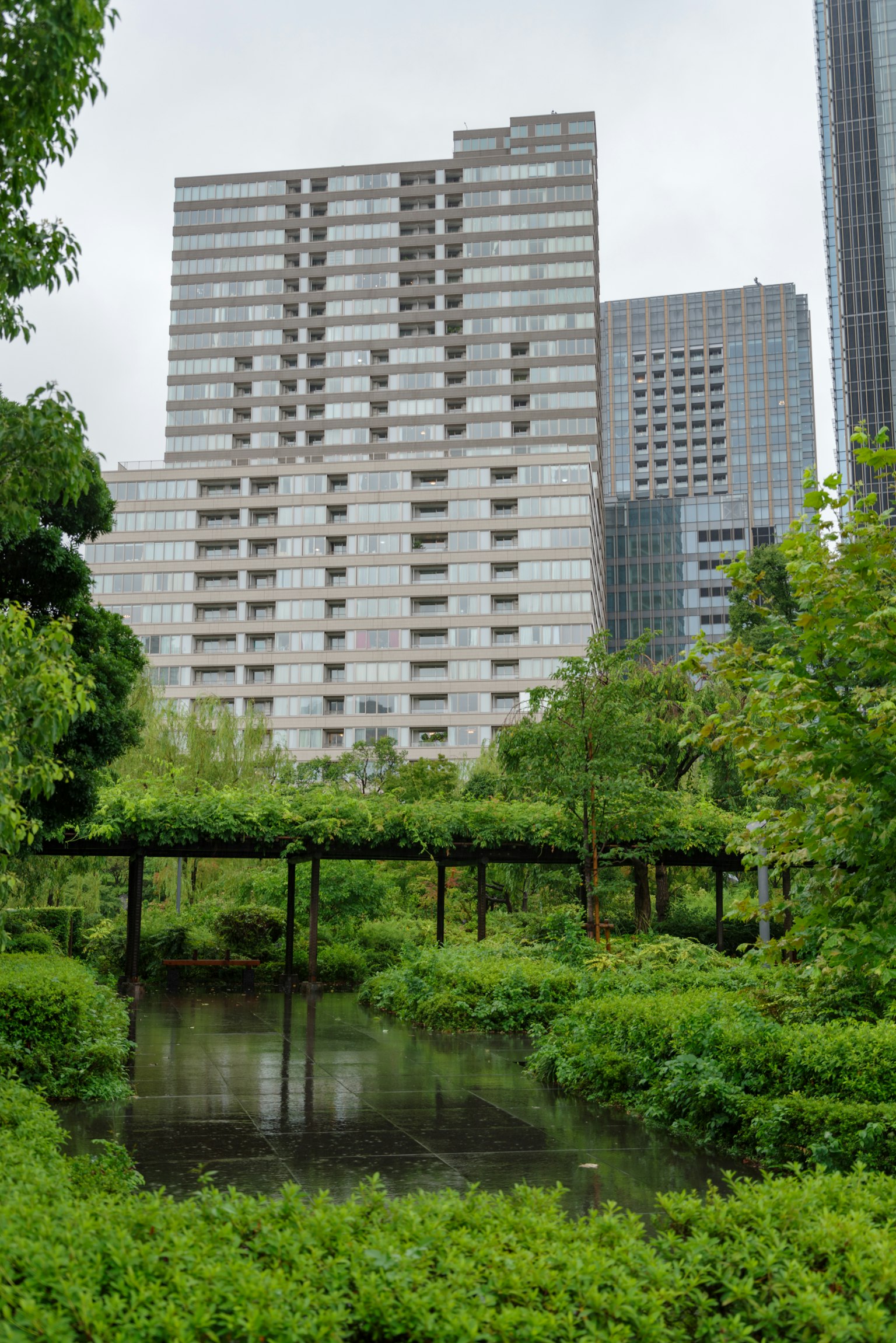 ภาพทิวทัศน์สวนสาธารณะในเมืองที่มีความเขียวขจีและตึกสูงสมัยใหม่ด้านหลัง