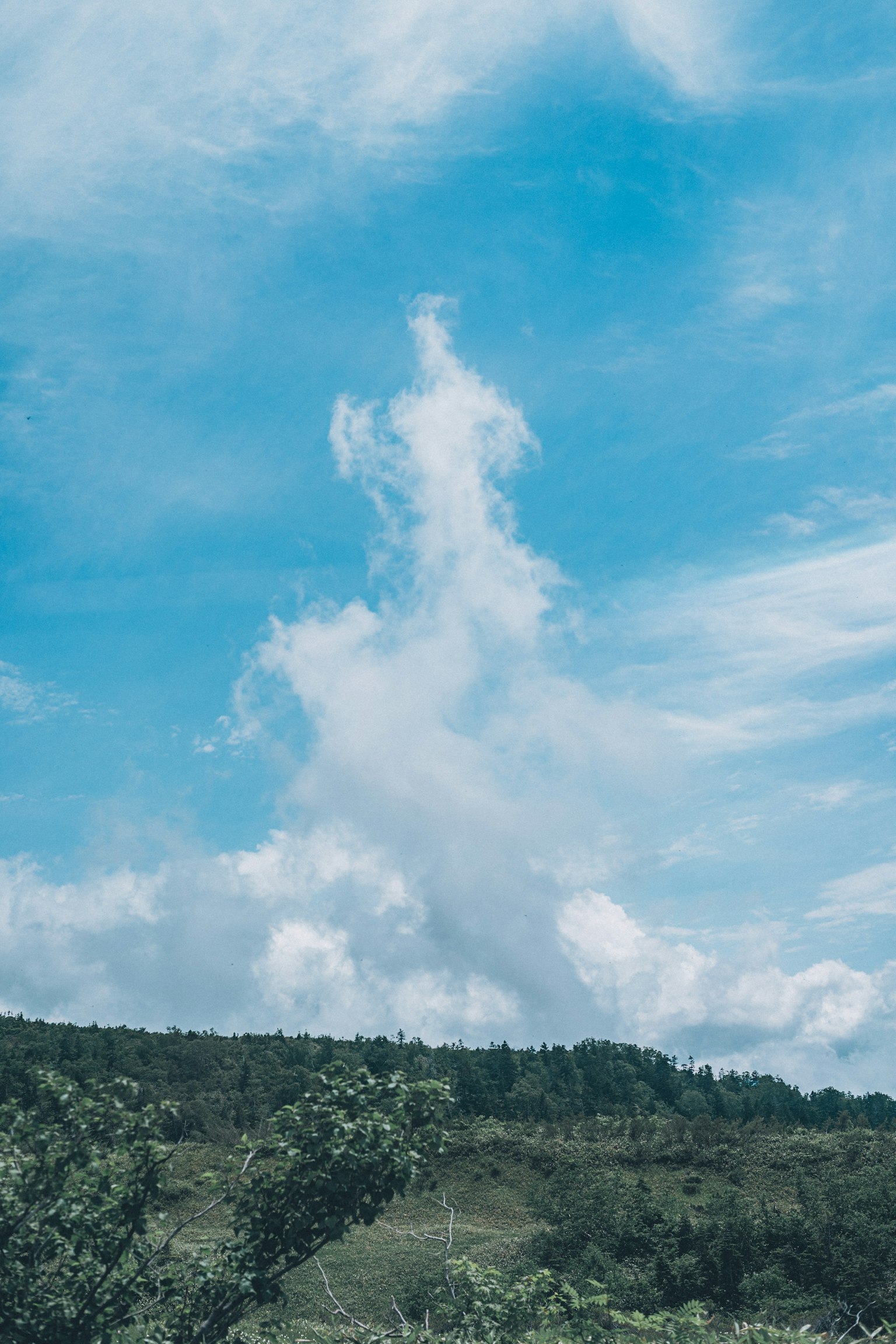 Paysage avec un ciel bleu et des nuages blancs distinctifs