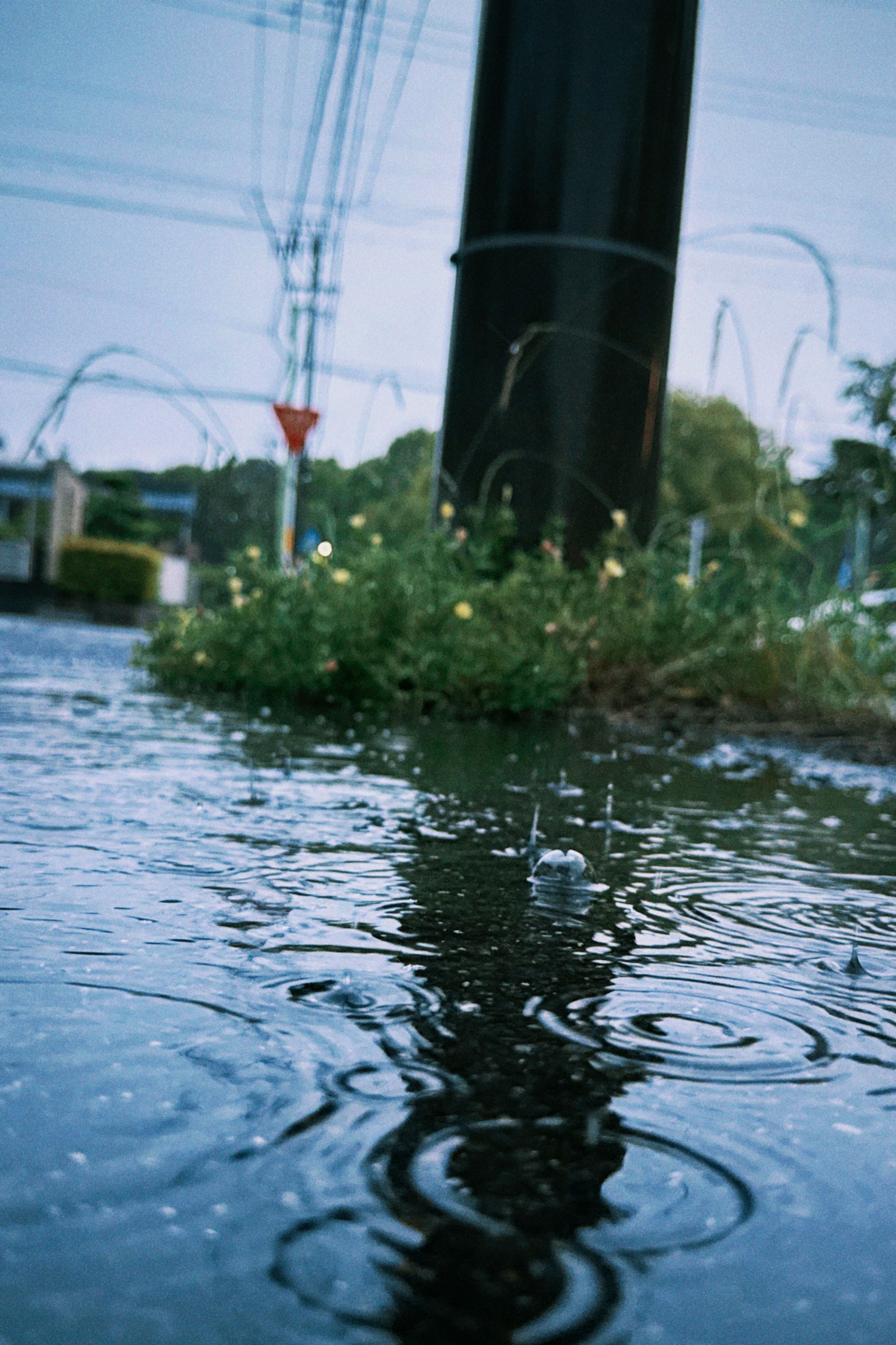 雨天街道水洼中电线杆和草的倒影