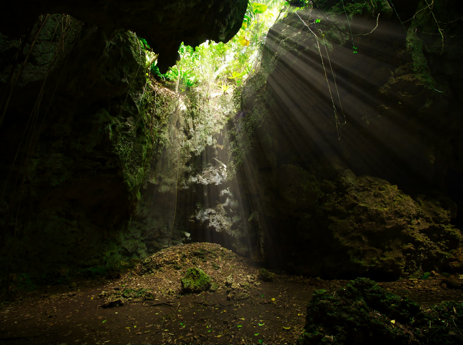 Escena misteriosa de una cueva con luz solar filtrando a través de un follaje verde exuberante