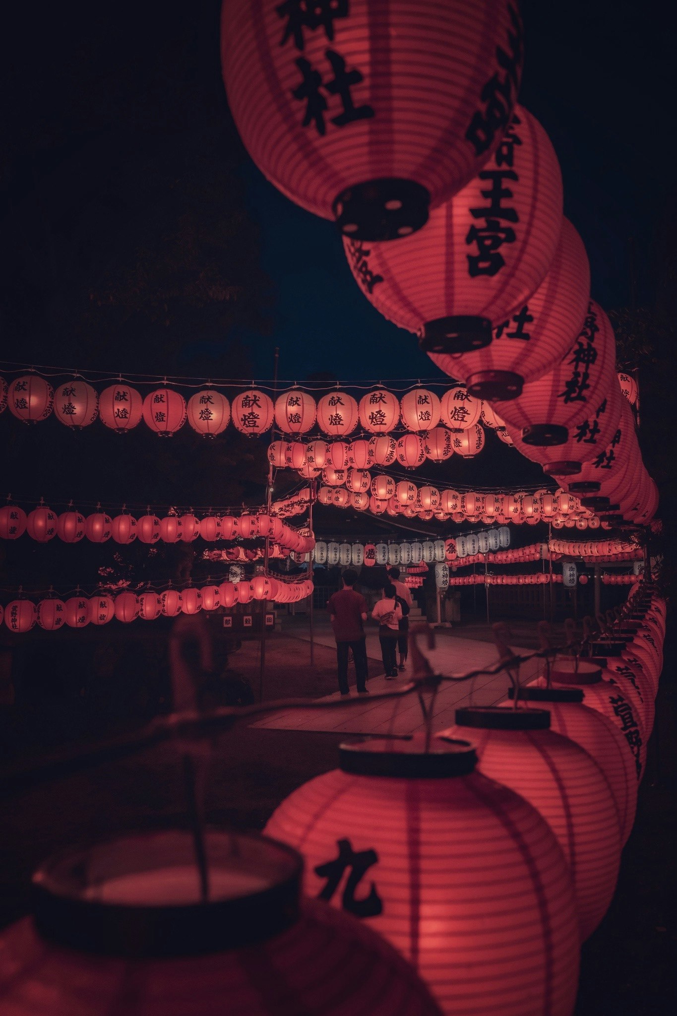 萱野神社の献燈祭で赤い提灯が並ぶ境内の幻想的な夜景