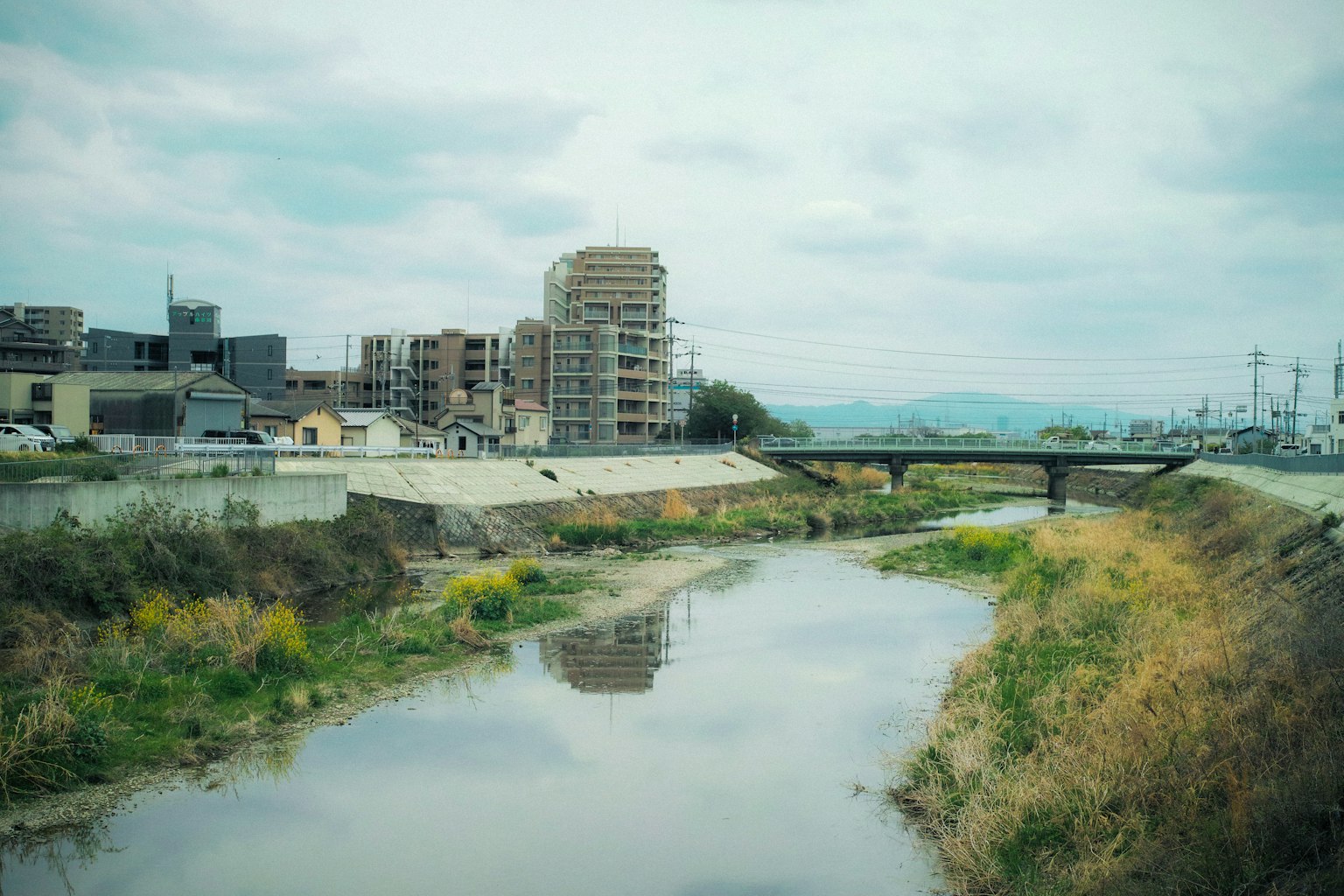 A riverside view featuring buildings and a bridge