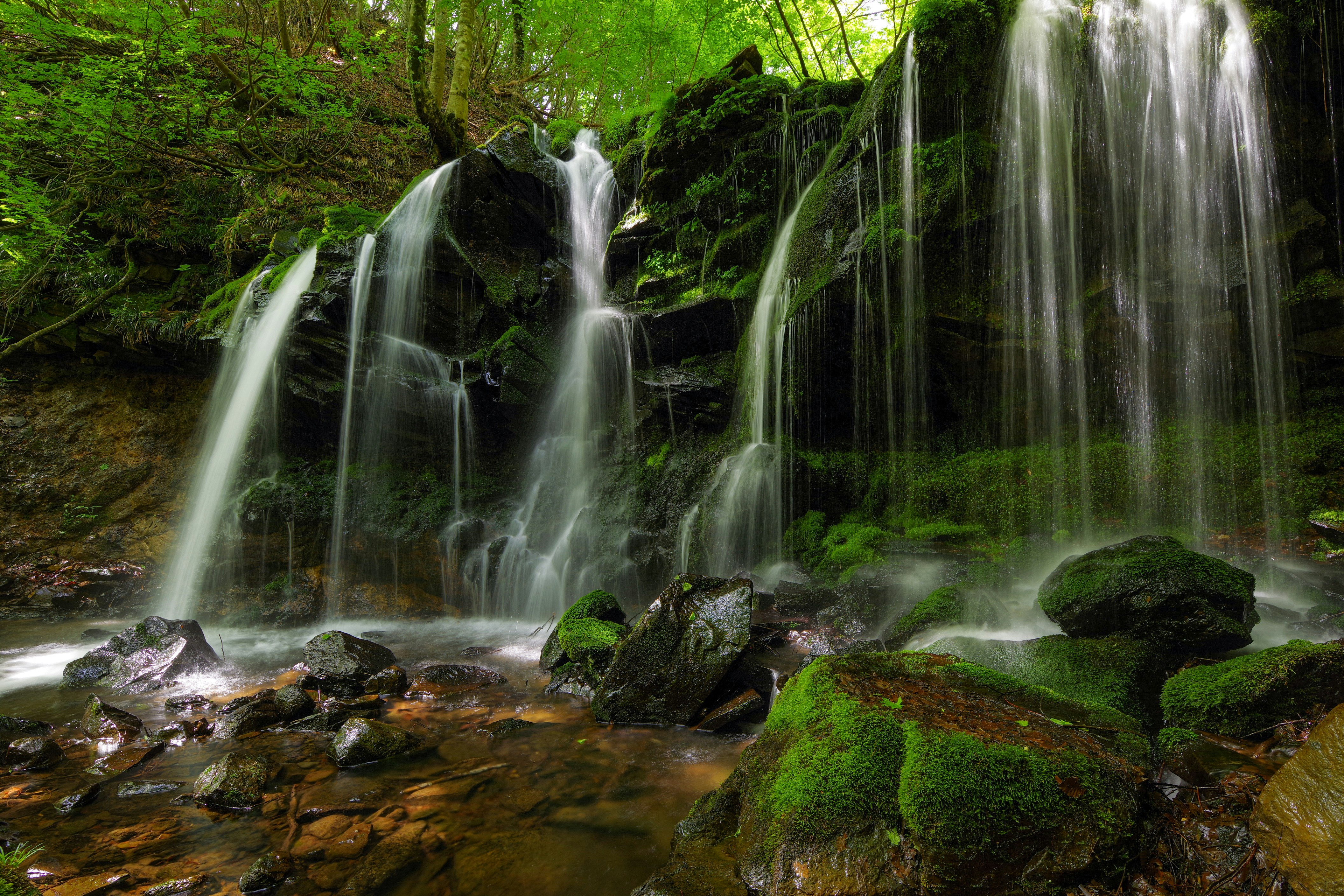 Air terjun di atas batu berlumut dengan pepohonan hijau