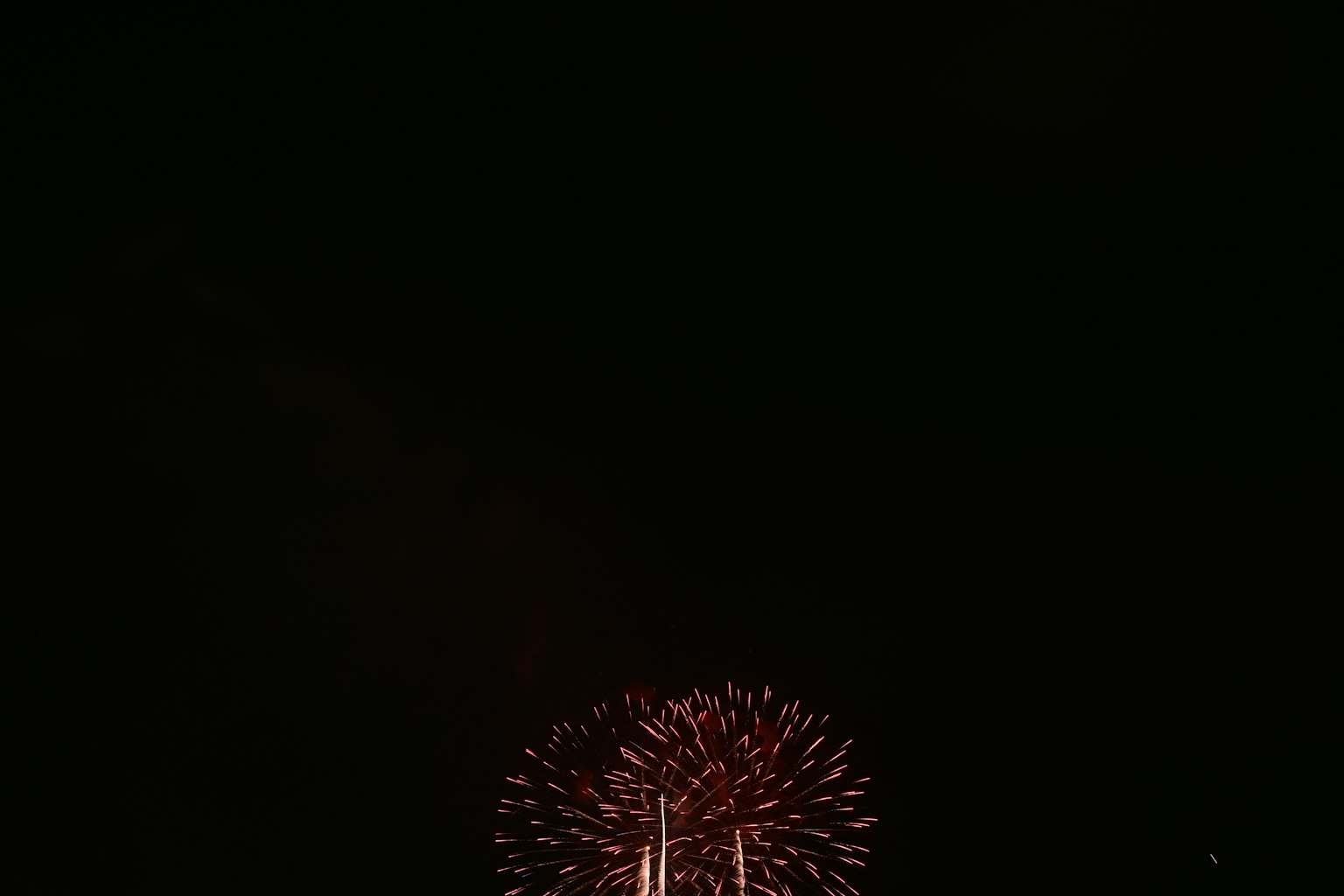 美丽的烟花表演照亮夜空