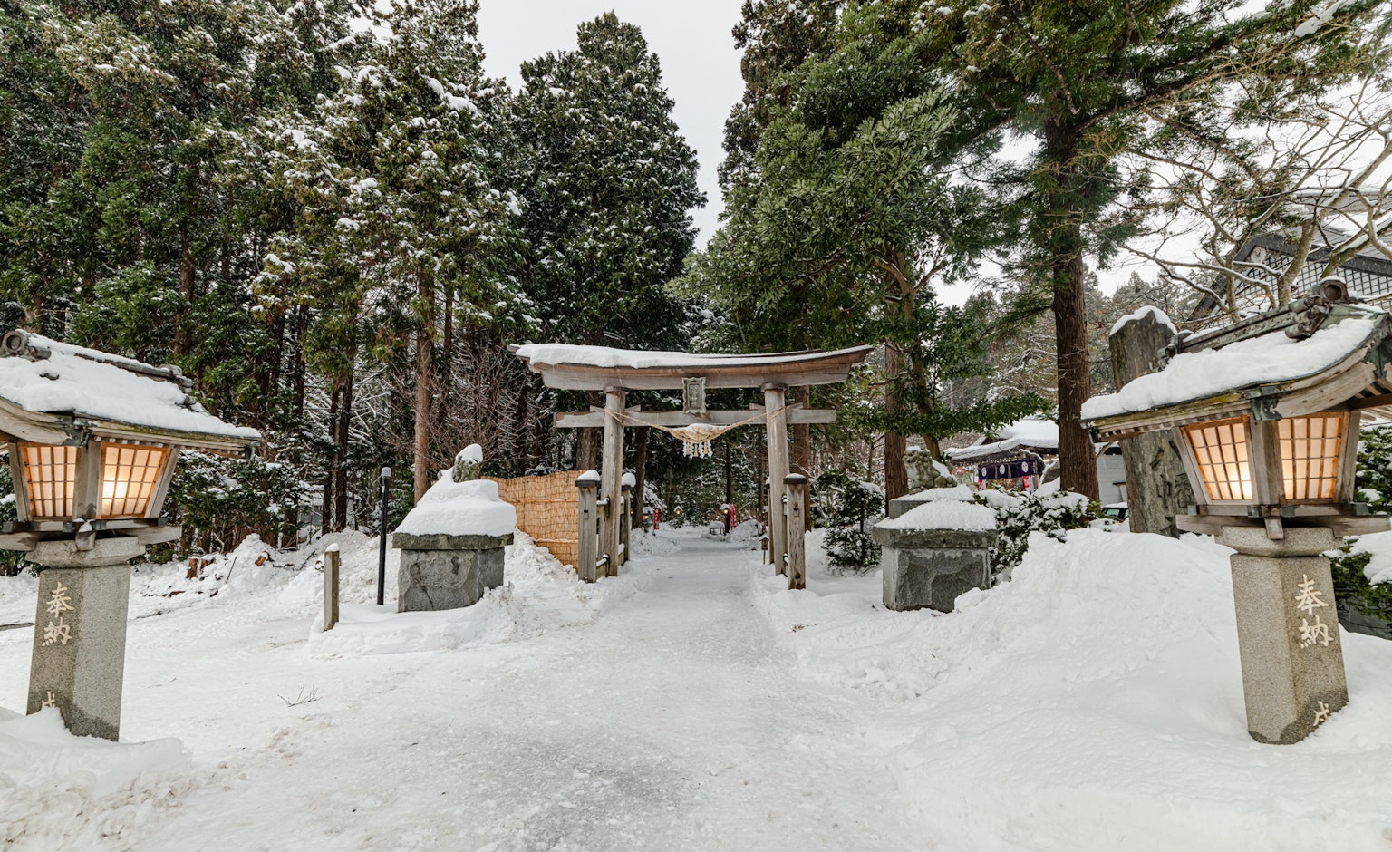 雪覆蓋的森林中的鳥居和燈籠