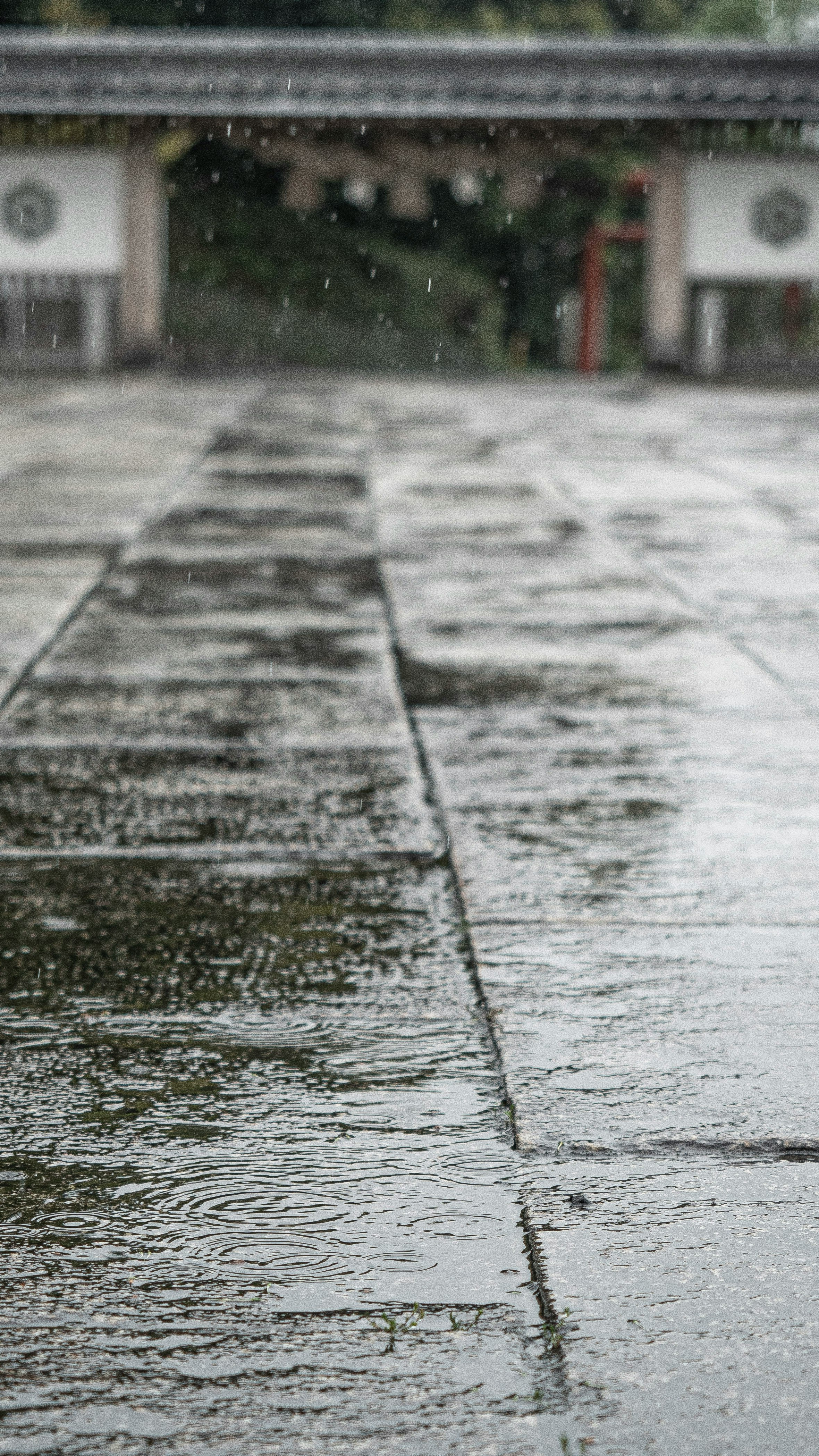 Rainy stone-paved alley with wet steps