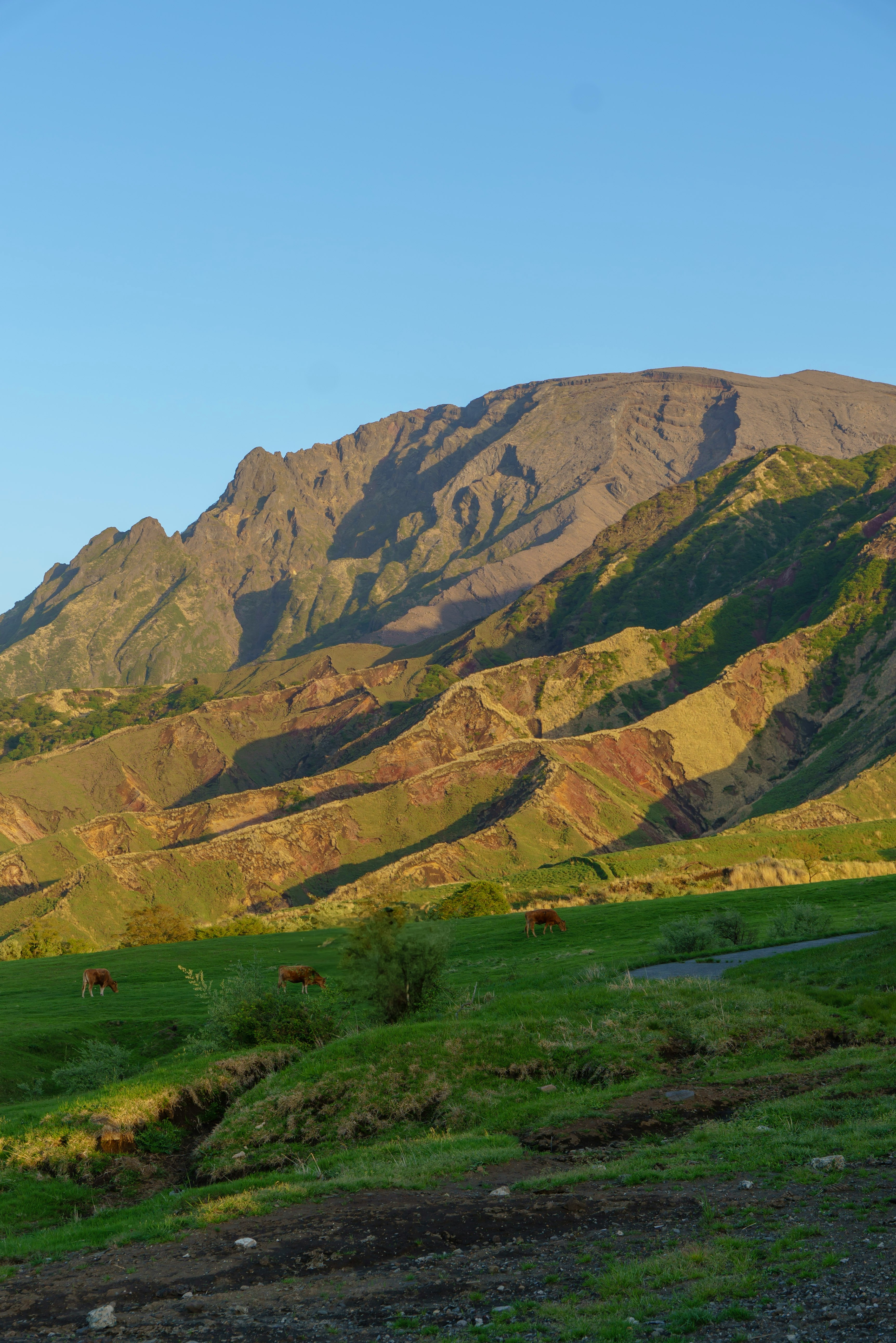 阿蘇の夕景に広がる草原と山並み