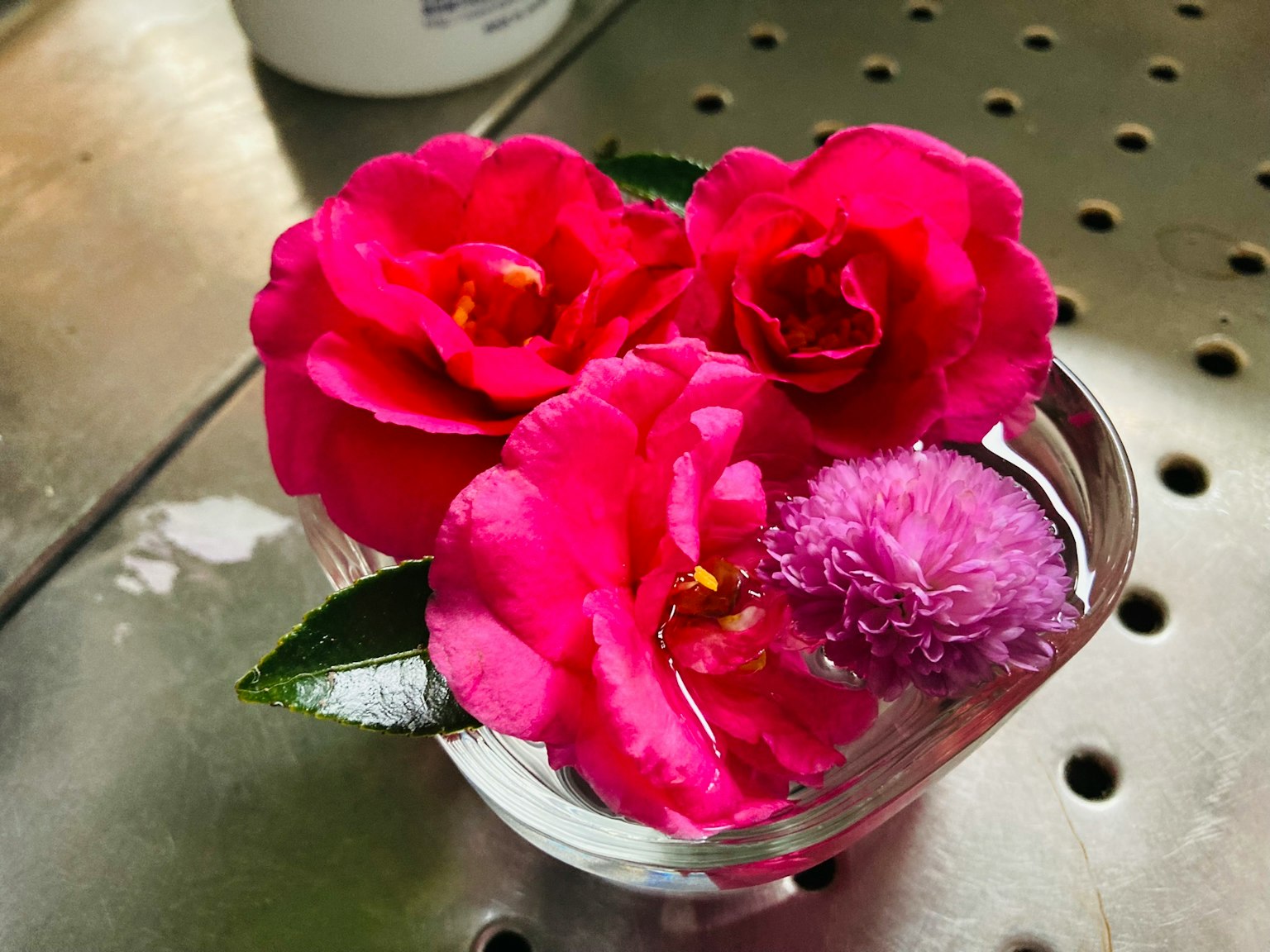 Bunga pink cerah dan daun hijau mengapung dalam wadah transparan