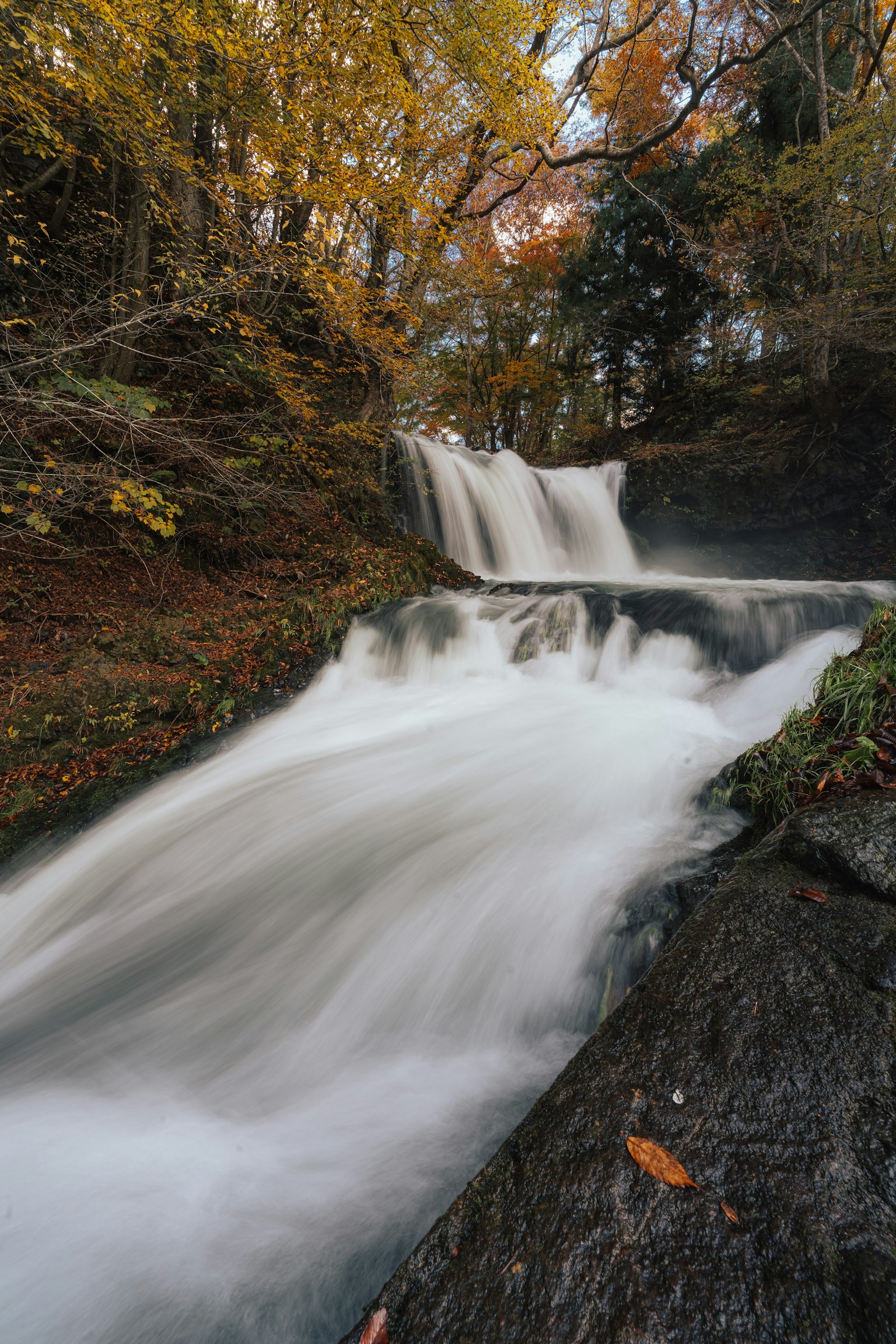 photo-ah0Z3GTXr1rGoGpmEoCk-image