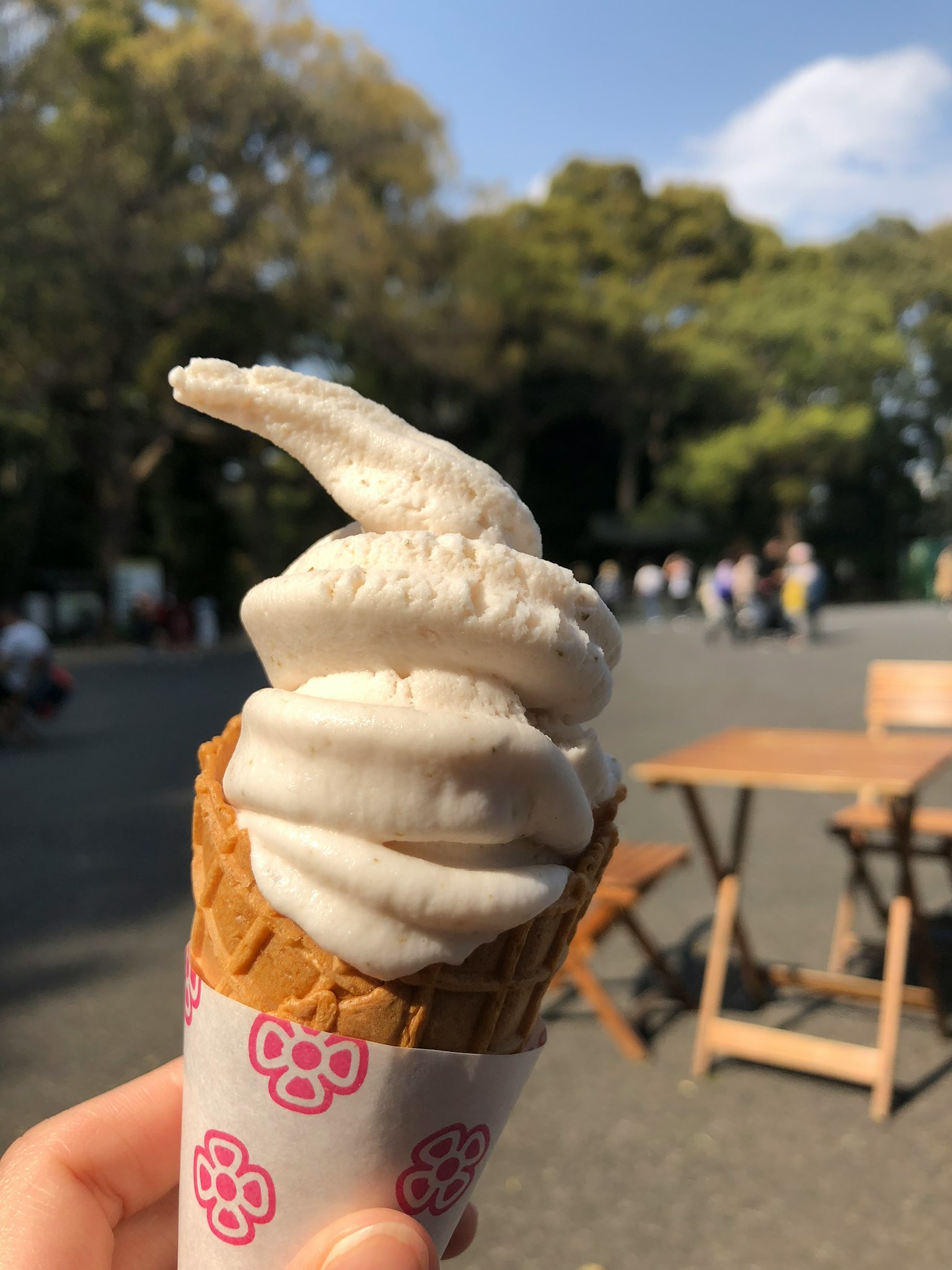 冰淇淋在甜筒中，背景是公園
