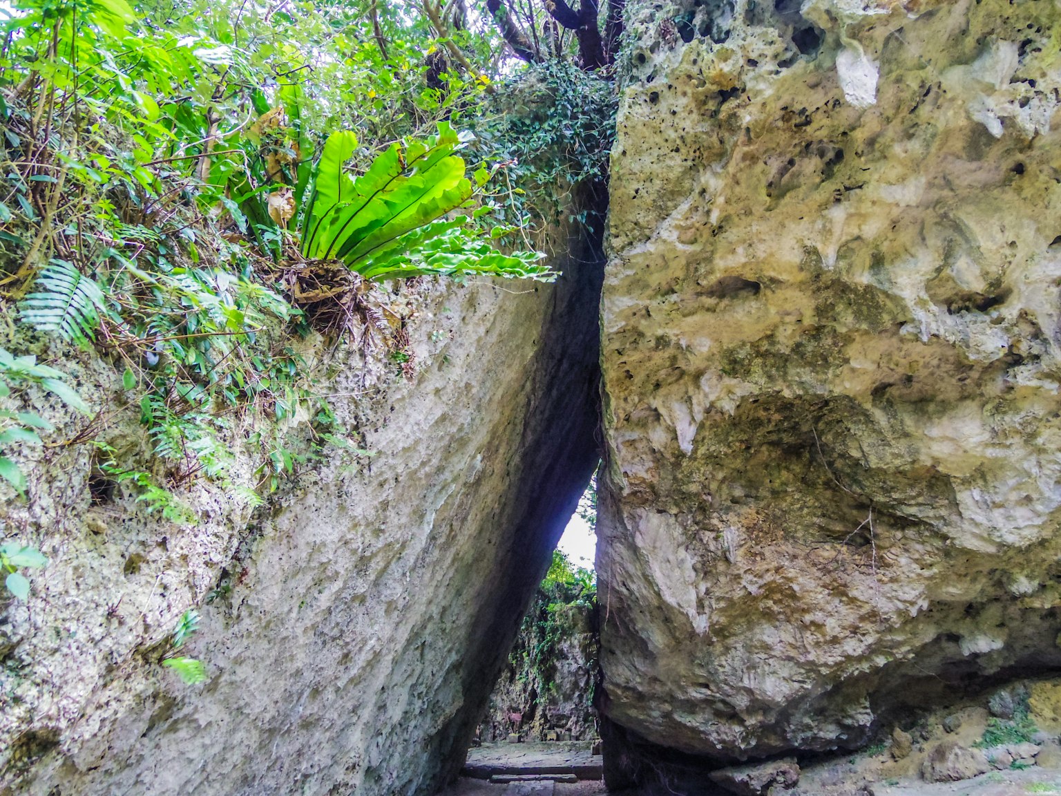 大石塊之間的狹窄小路和綠色植物