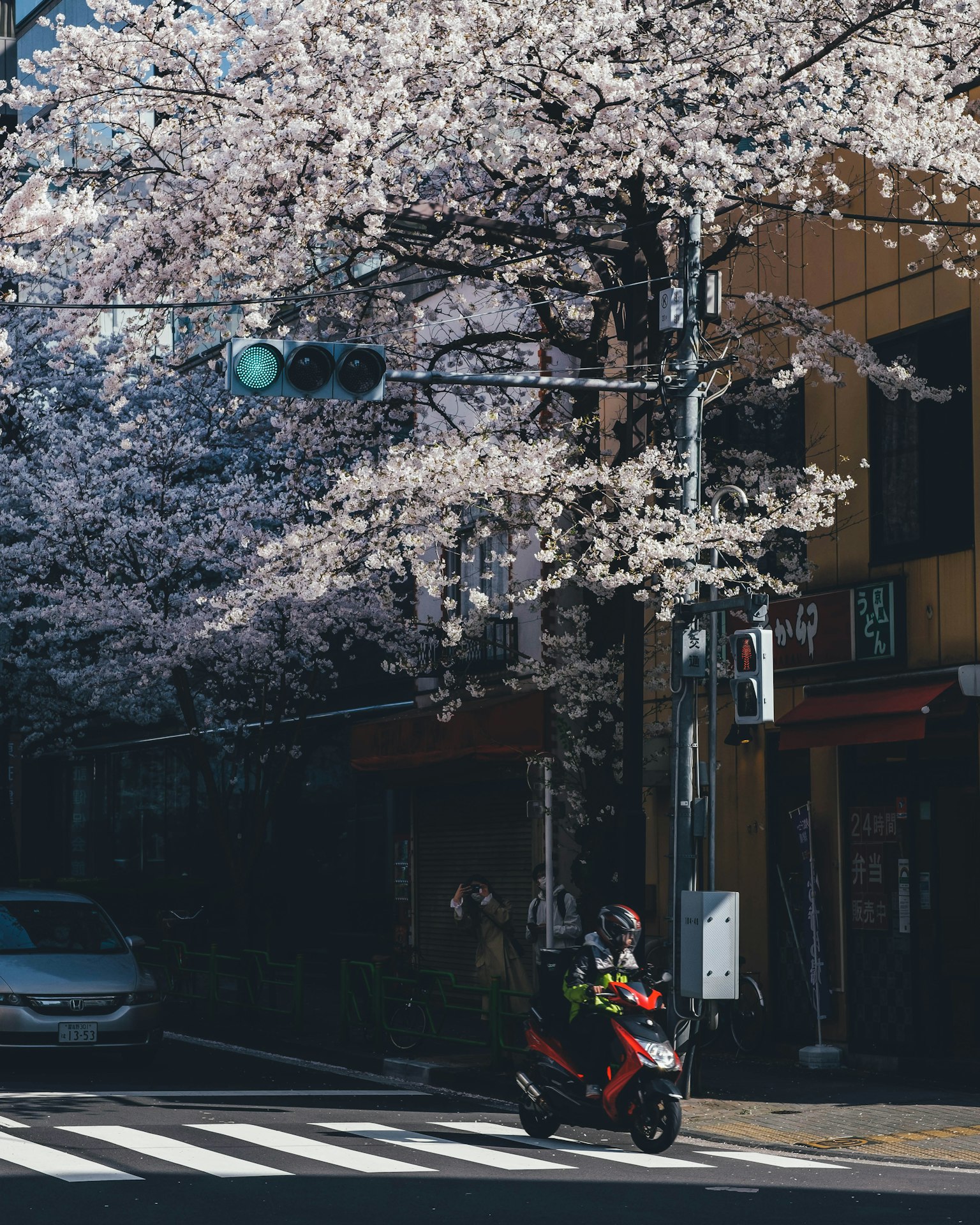 紅色摩托車停在櫻花樹下的綠燈交叉口
