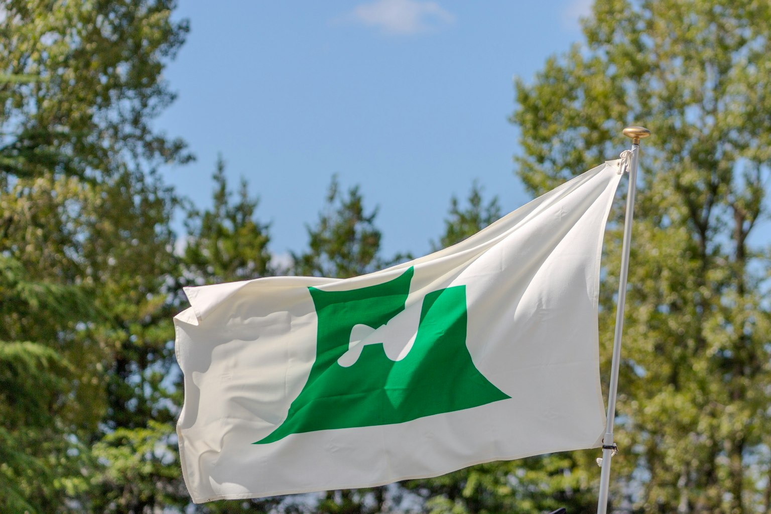 White flag with a green symbol waving under a blue sky