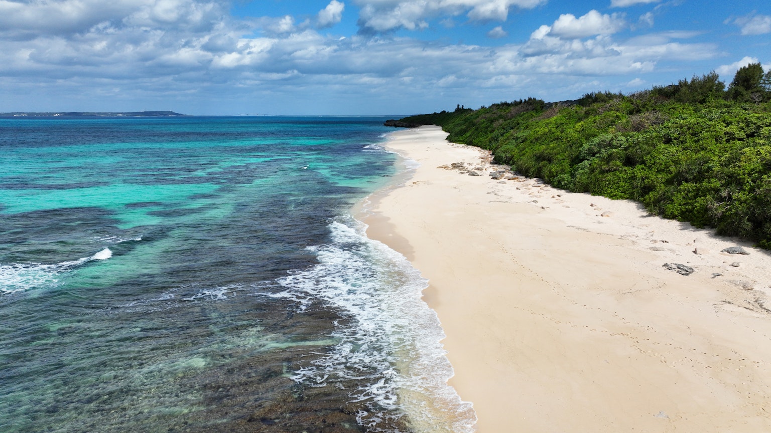 Pantai yang indah dengan air turquoise dan vegetasi subur