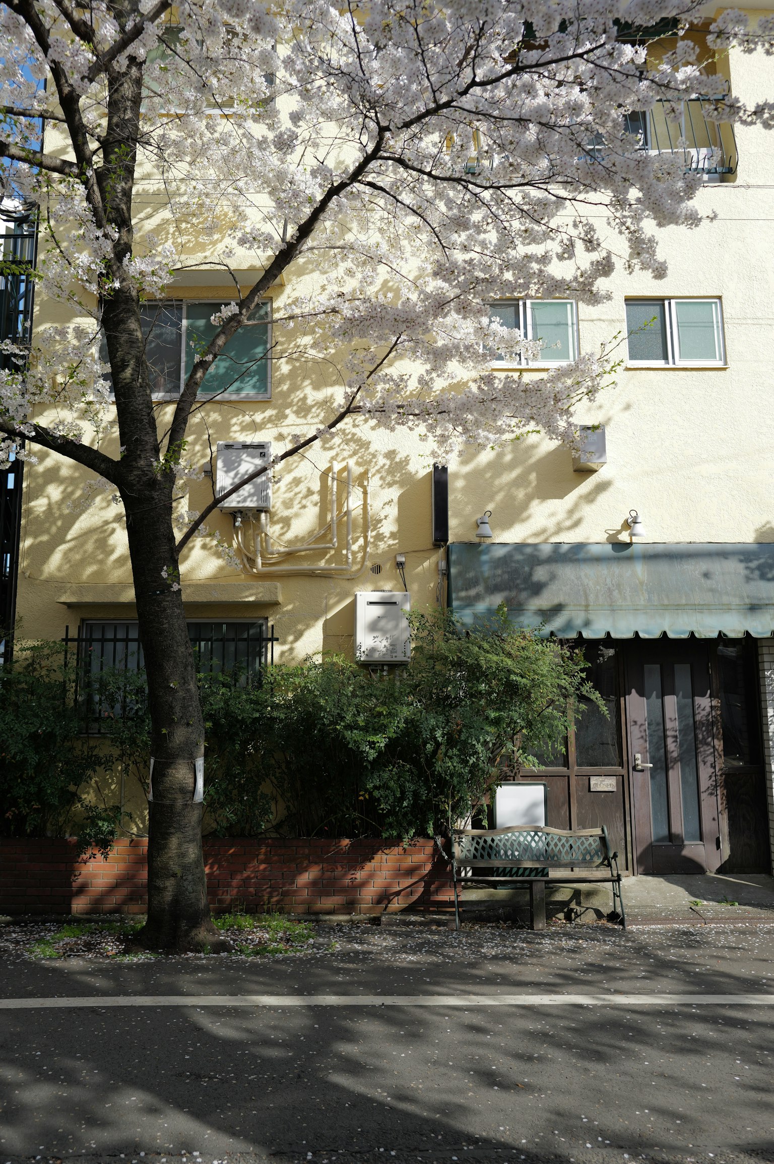 photo-ai8VYSBnTpJaB950BhVN-image