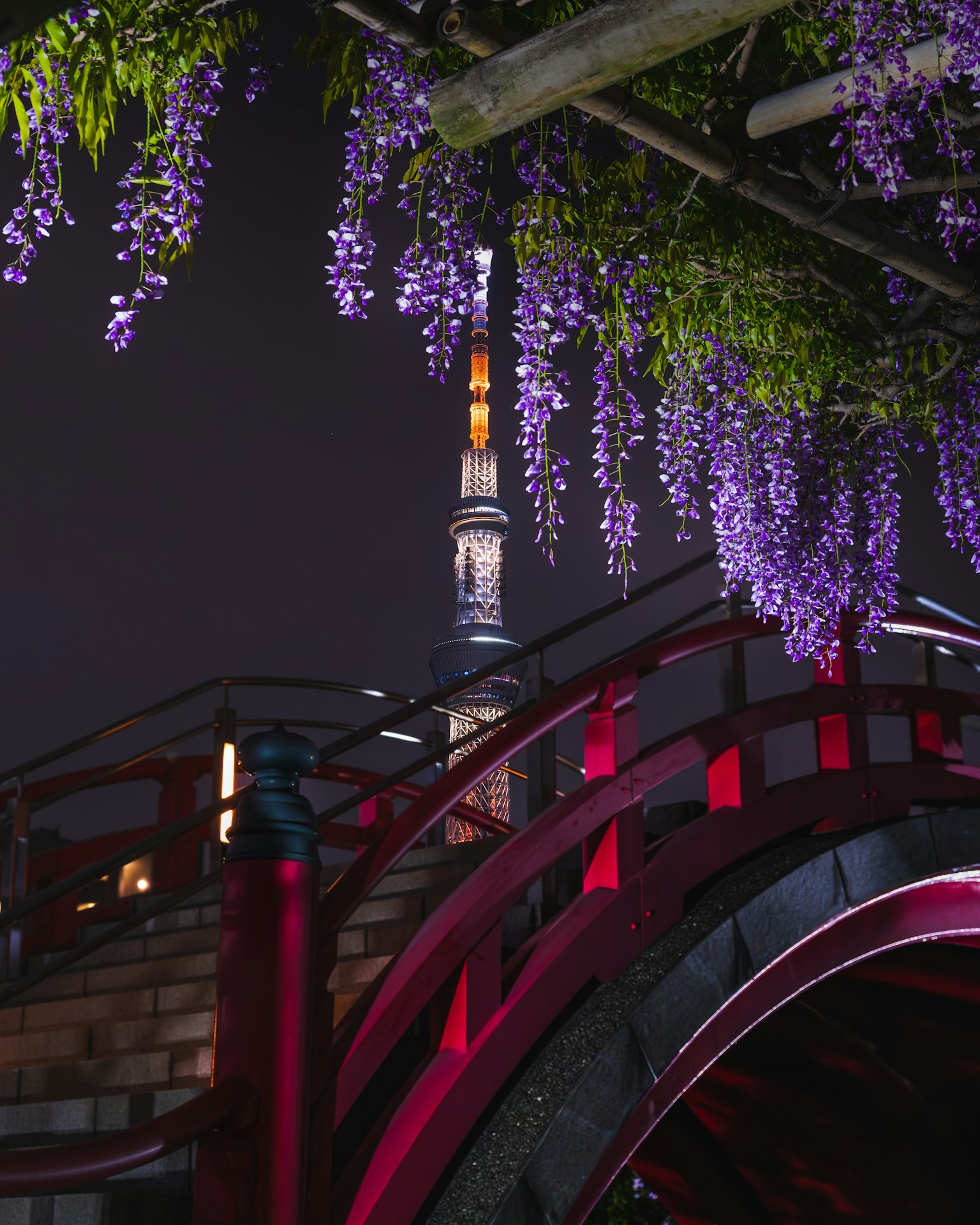 ทิวทัศน์ยามค่ำคืนของโตเกียวสกายทรีพร้อมดอกวิสทีเรียสีม่วงบนสะพานสีแดง