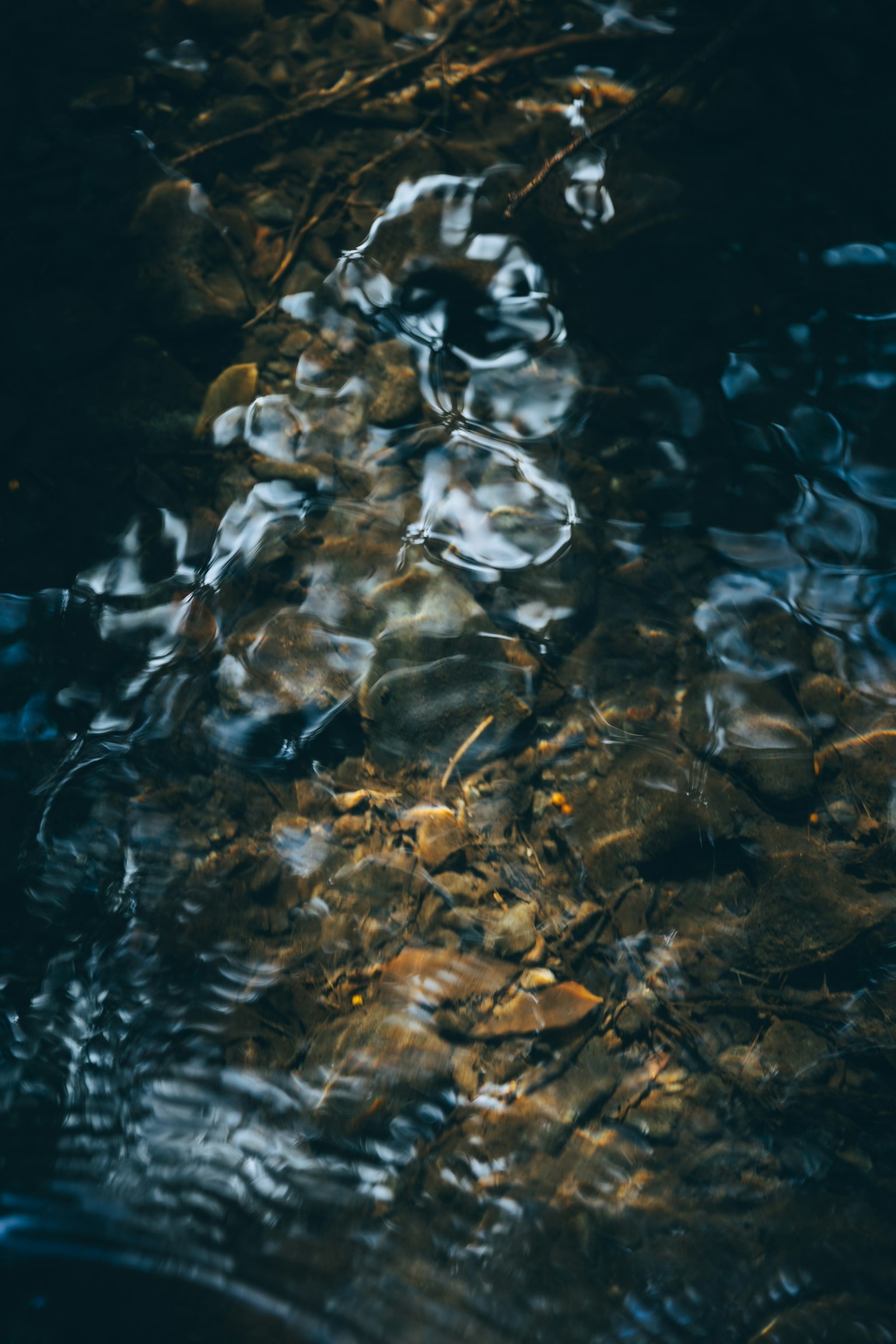 Natürliche Muster und Lichtreflexionen auf der Wasseroberfläche