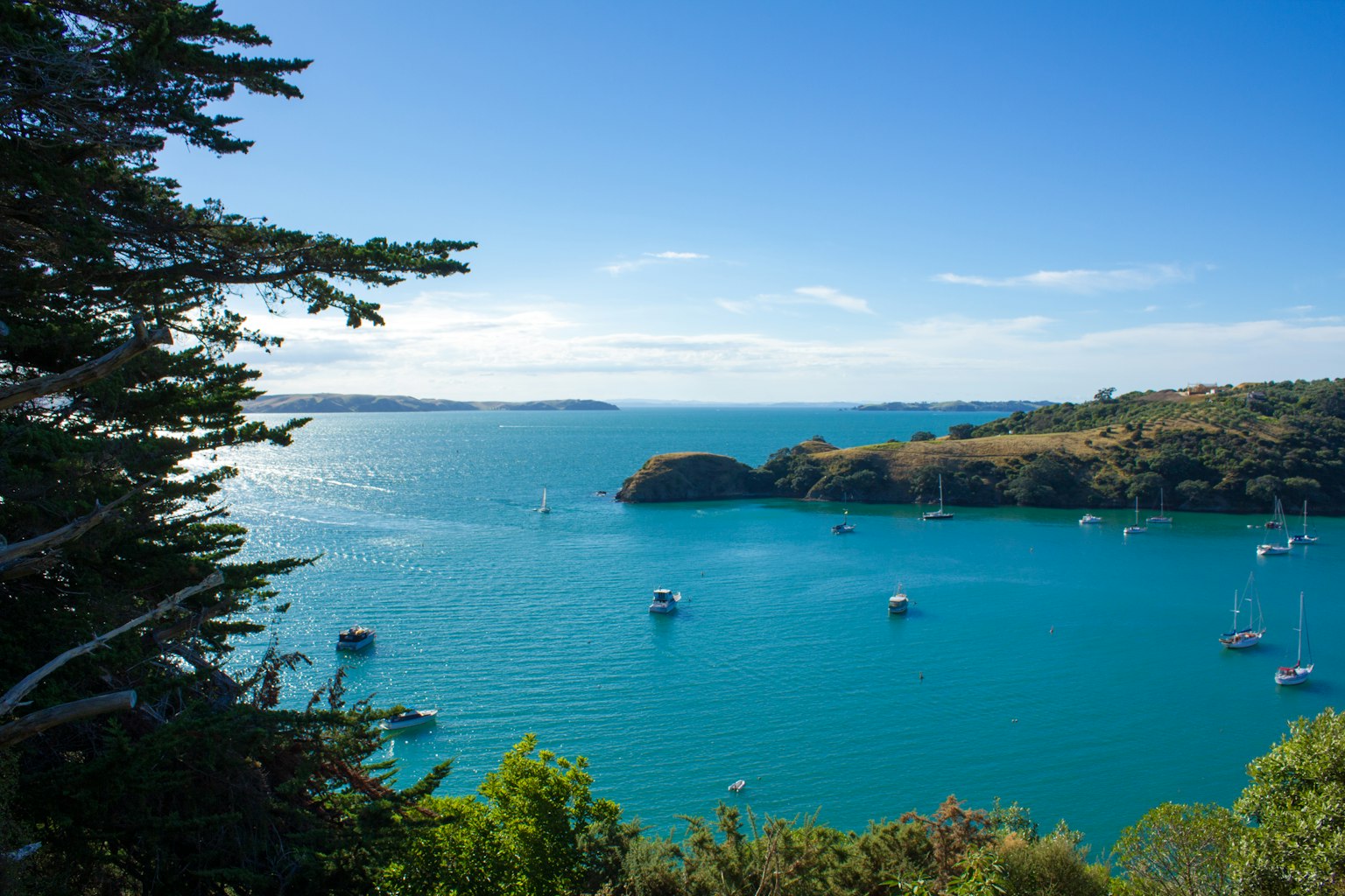 Scenic view of blue sea with boats and green trees under a clear sky
