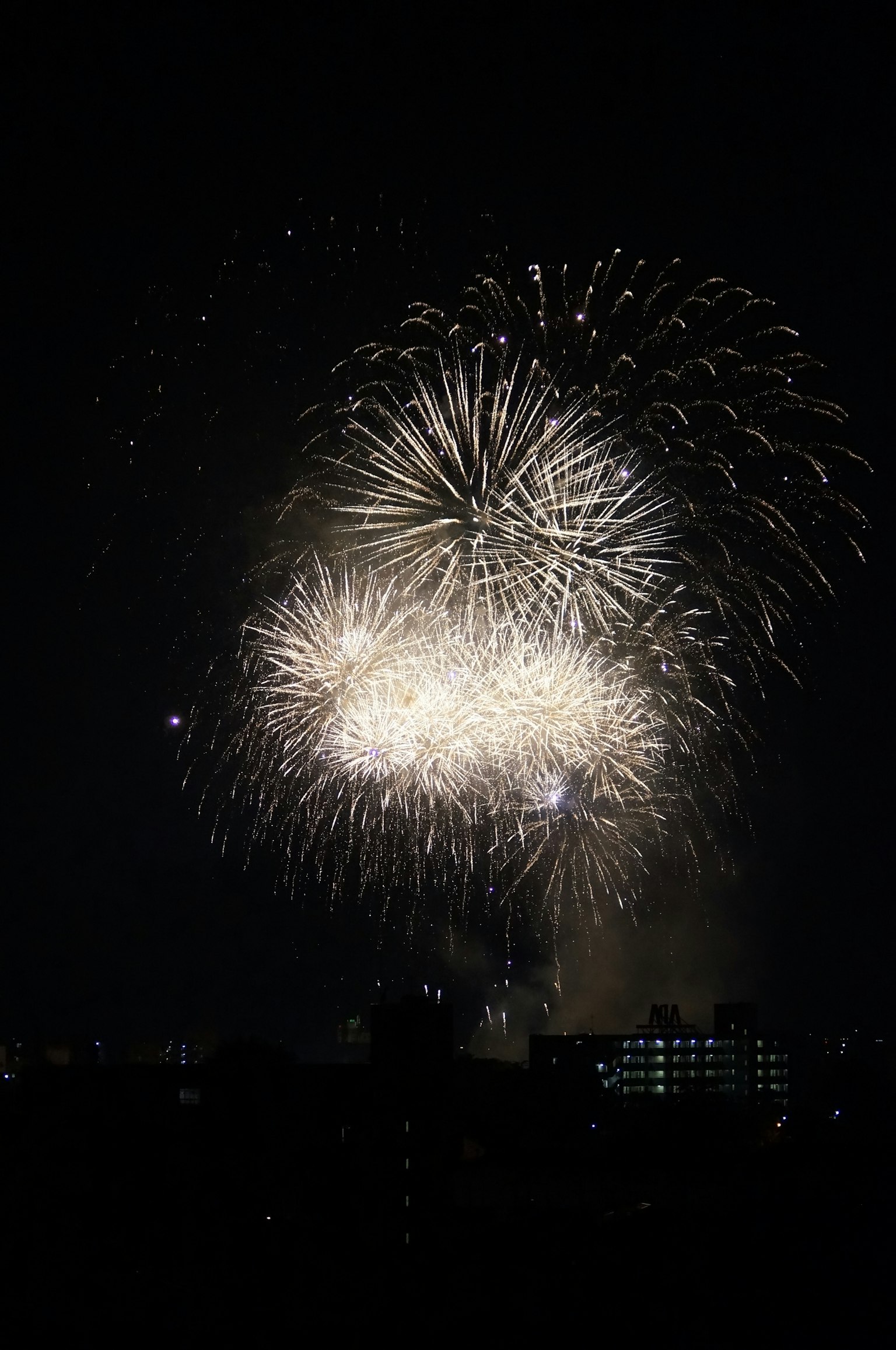 Fireworks illuminate the night sky in a spectacular display