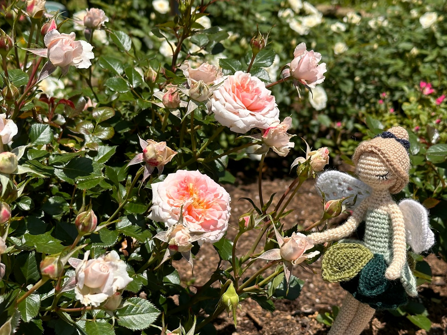 Una piccola bambola fata che sta vicino a rose in fiore in un giardino