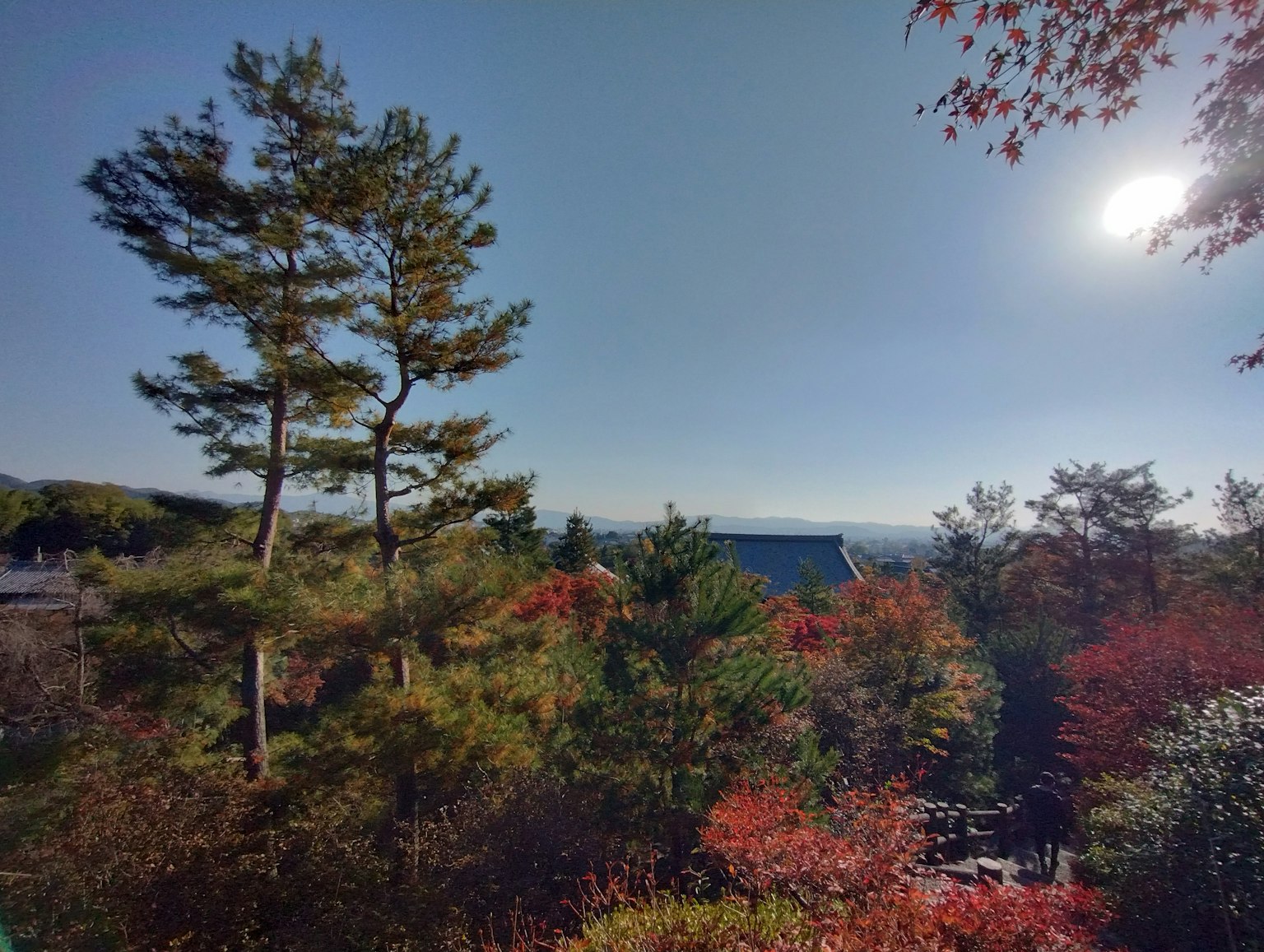 Paesaggio circondato da fogliame autunnale e alberi sotto un cielo blu