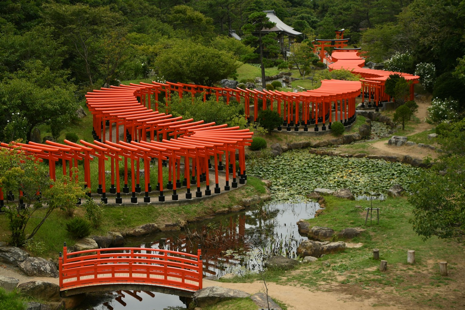 蜿蜒的小路与红色鸟居和池塘在日本花园中