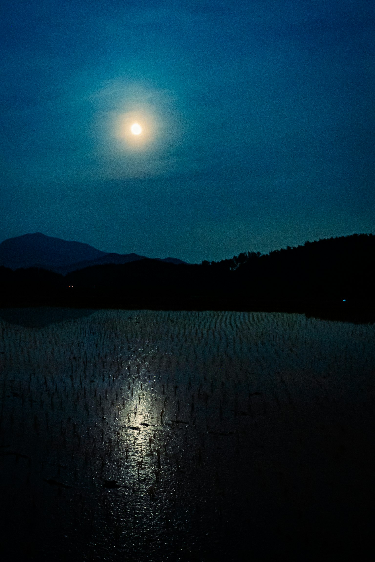 Une belle scène d'une pleine lune brillante réfléchie sur l'eau sous un ciel nocturne bleu