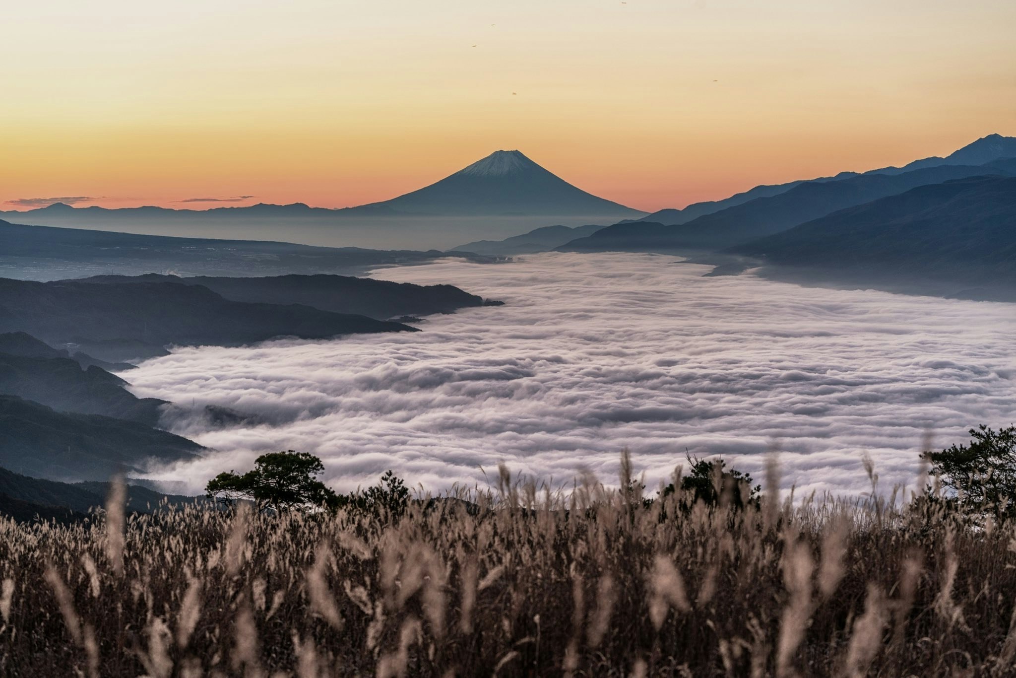 雲海の向こうに富士山が望める高原の朝焼け景色
