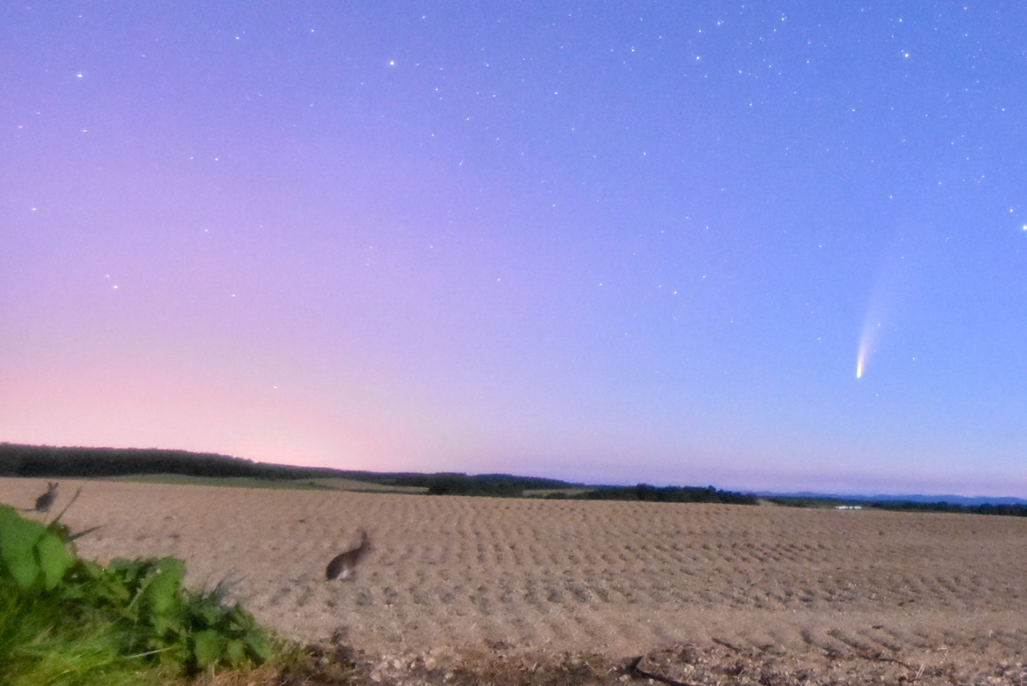 畑の広がる田園風景と夜空の流れ星