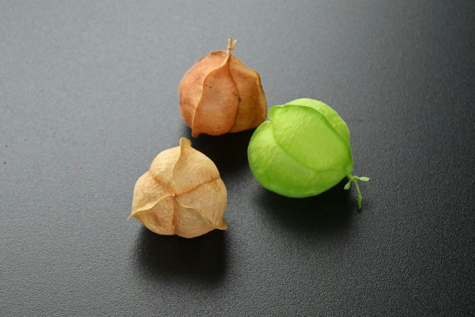 검은 배경에 배열된 세 가지 색상의 과일