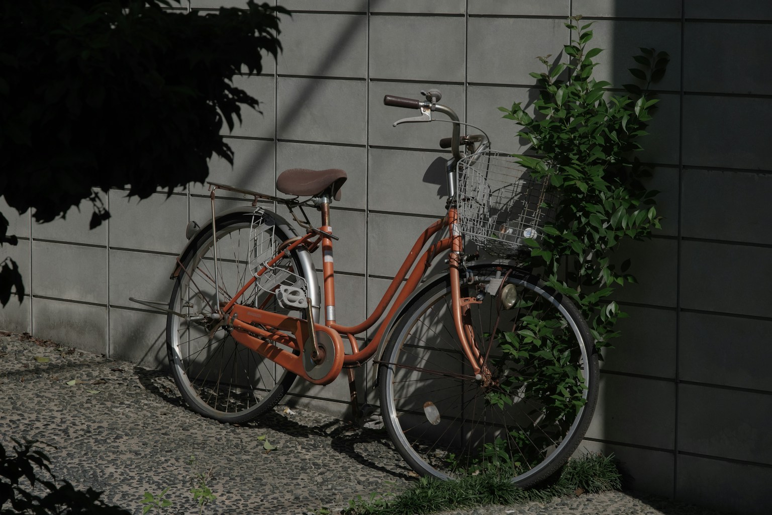 An orange bicycle leaning against a wall with greenery nearby