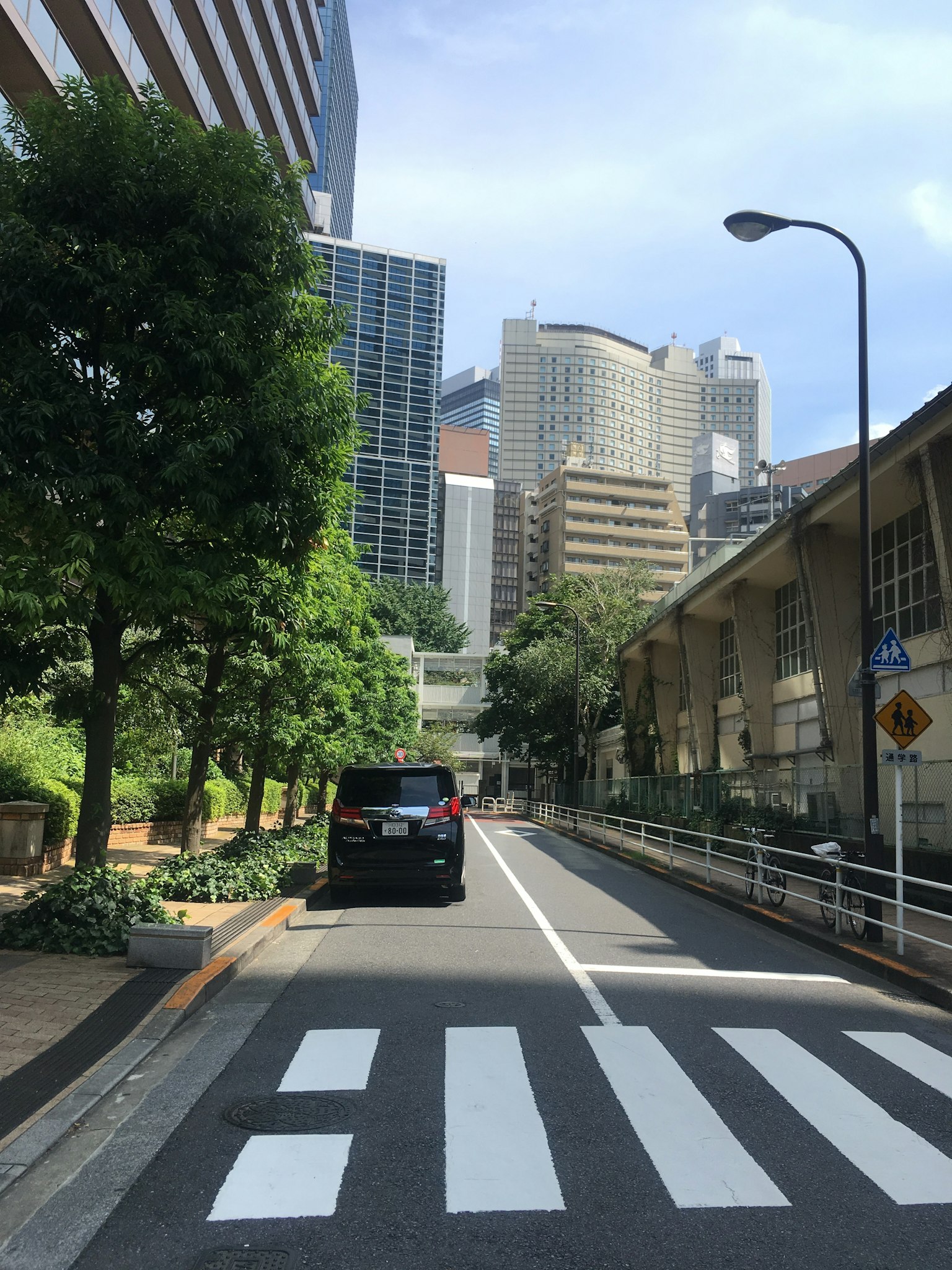 Jalan perkotaan dengan pepohonan rimbun dan gedung pencakar langit