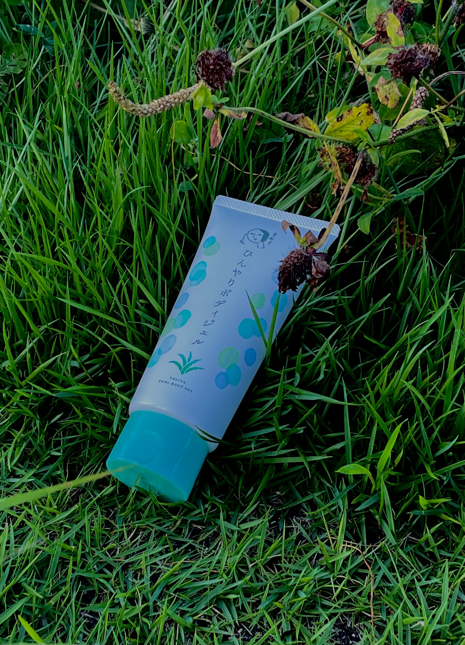 Eine Tube pflanzenbasierte Hautpflegecreme, die im grünen Gras liegt