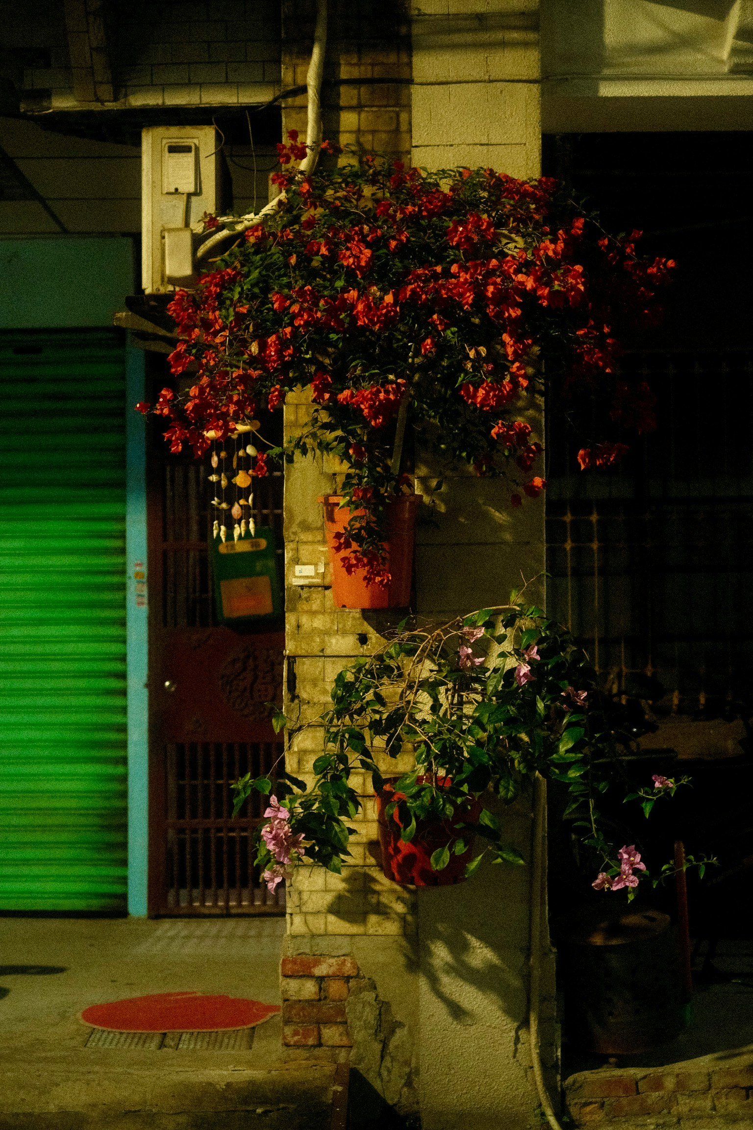 夜晚小巷墙边的花盆与鲜花