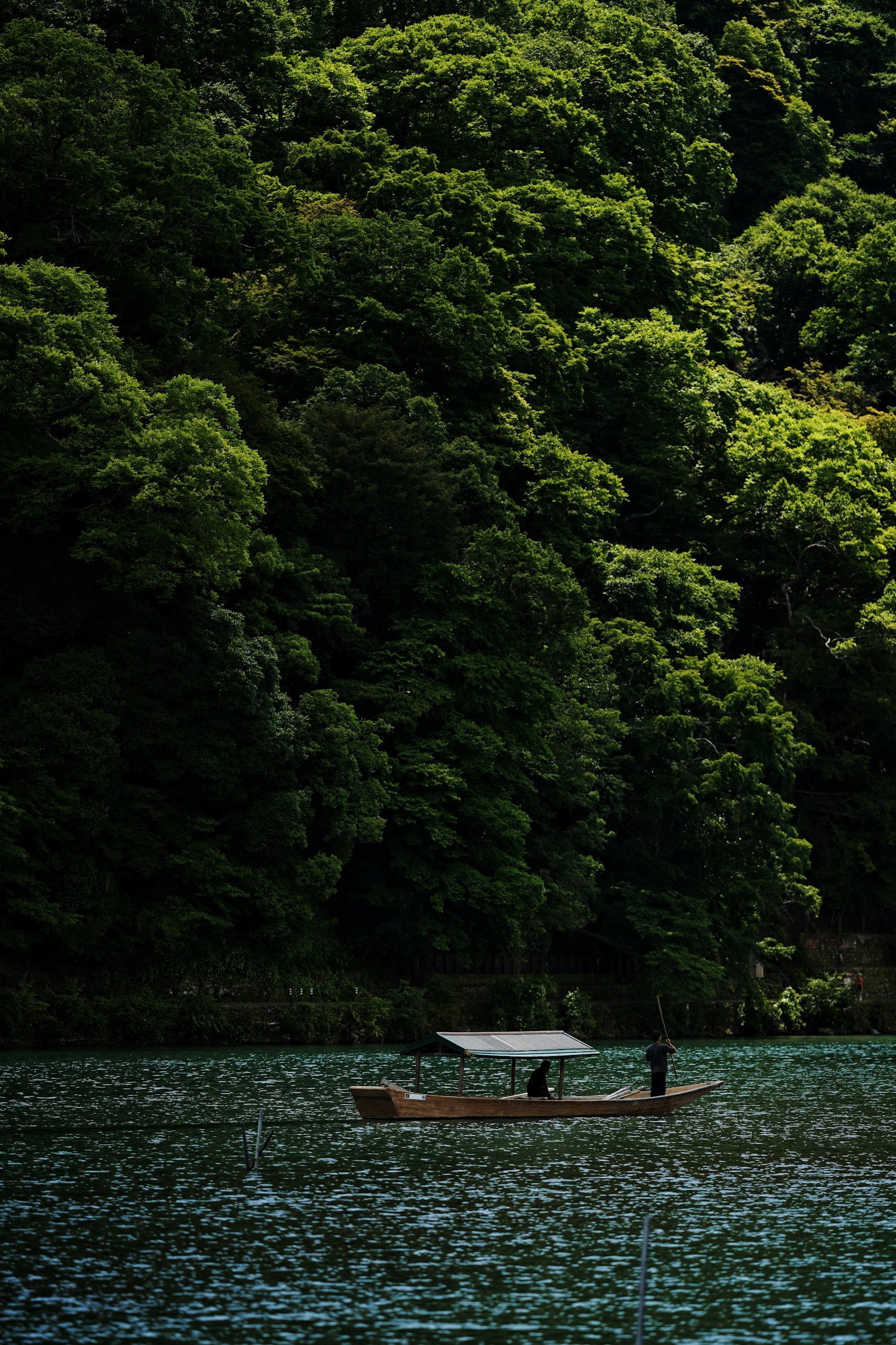 Một người trong chiếc thuyền nhỏ giữa rừng cây xanh tươi