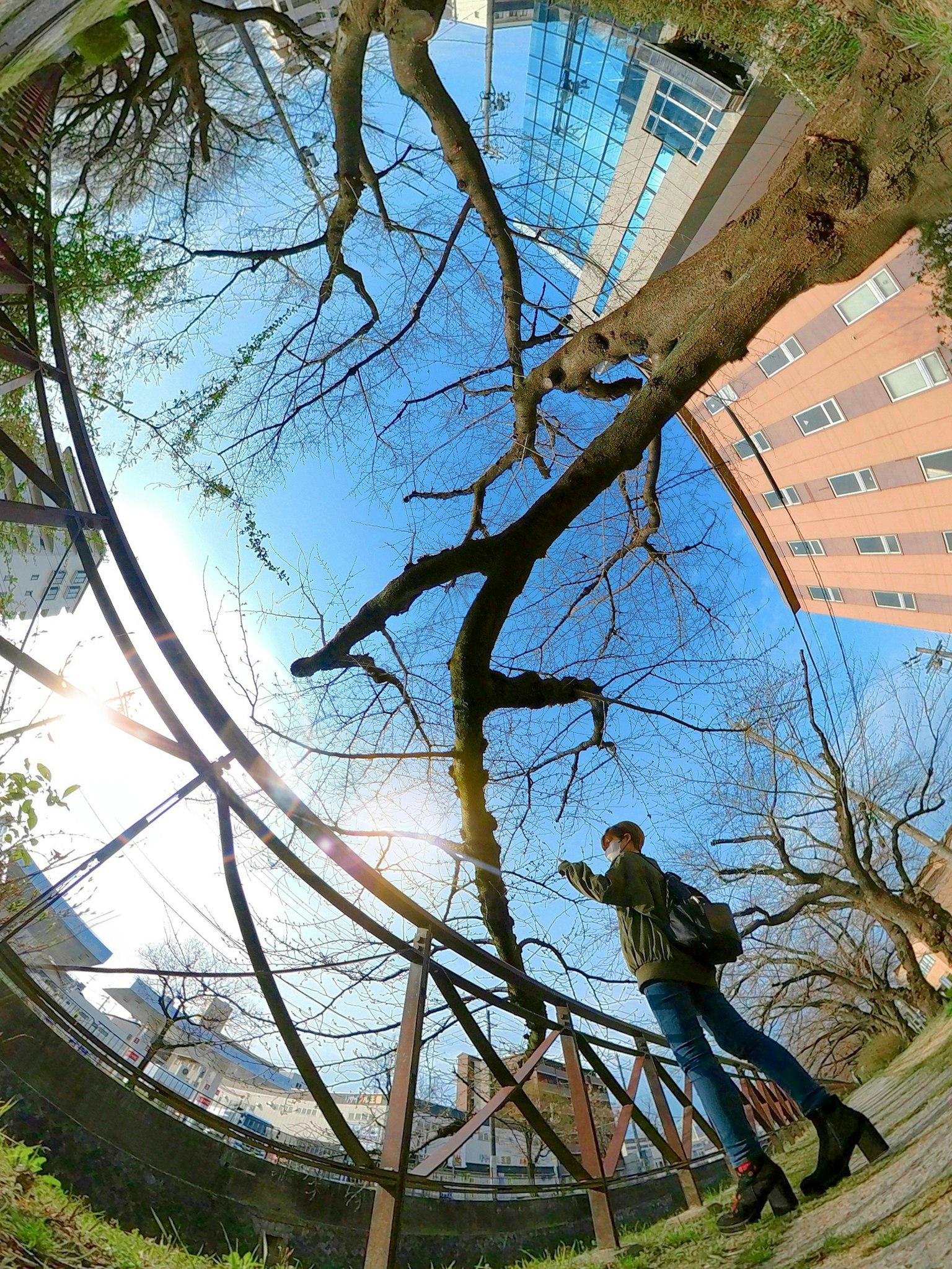 Une personne tenant un appareil photo dans un parc avec des branches d'arbre et un ciel bleu